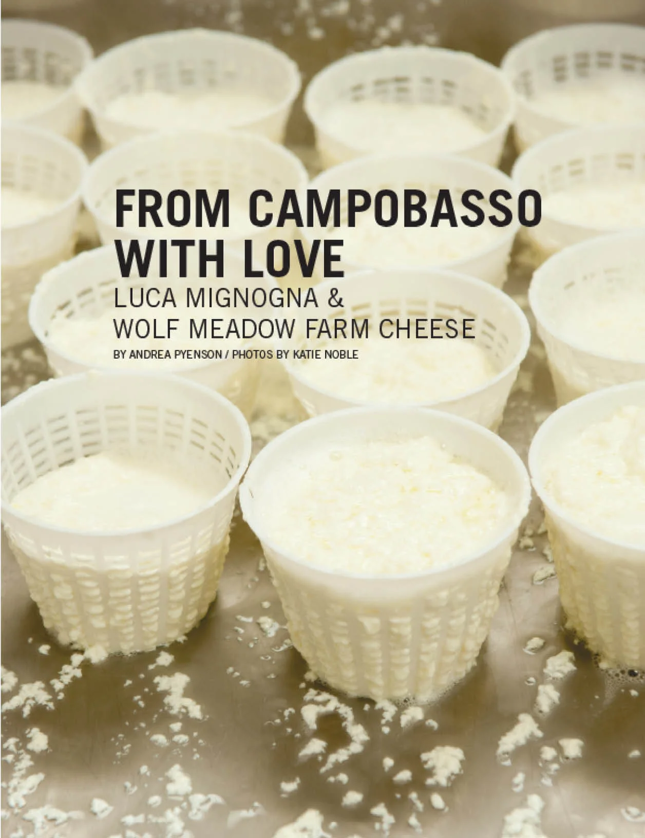 From Campobasso with Love: Luca Mignogna &amp; Wolf Meadow Farm Cheese