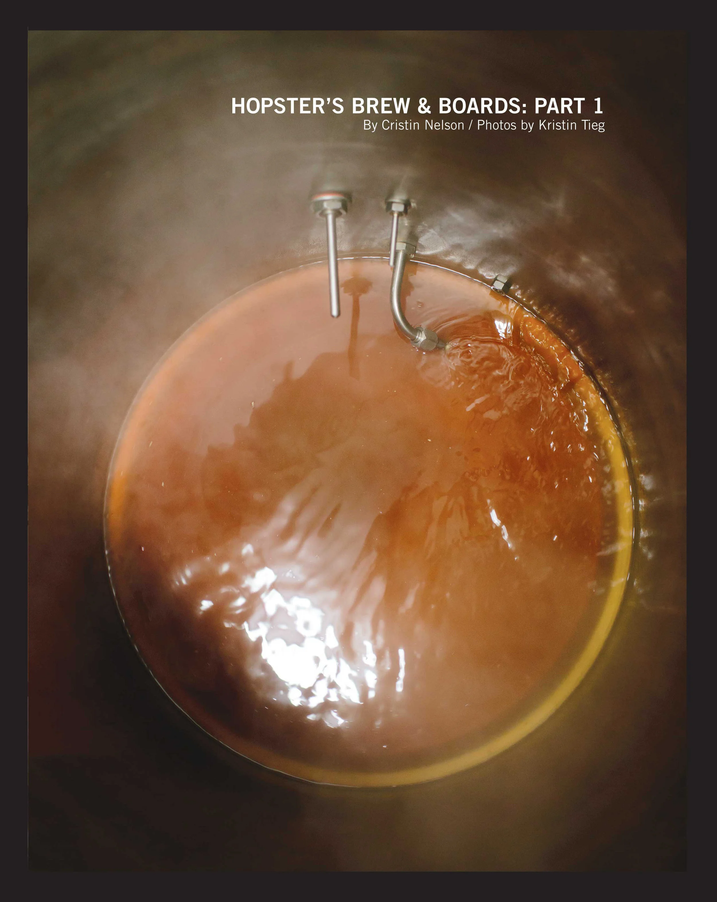 Hopster's Brew &amp; Boards: Part 1
