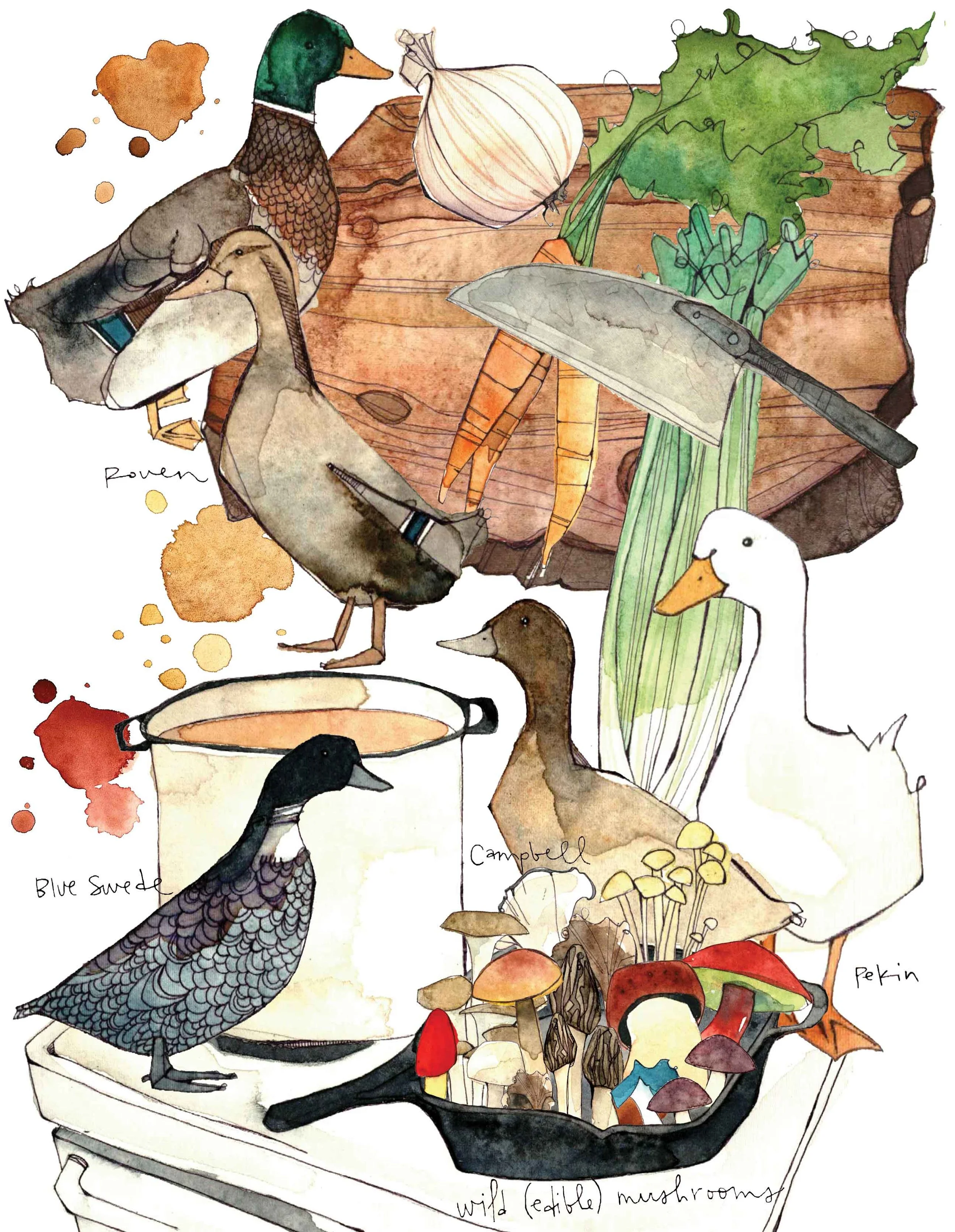 Edible Traditions: Duck