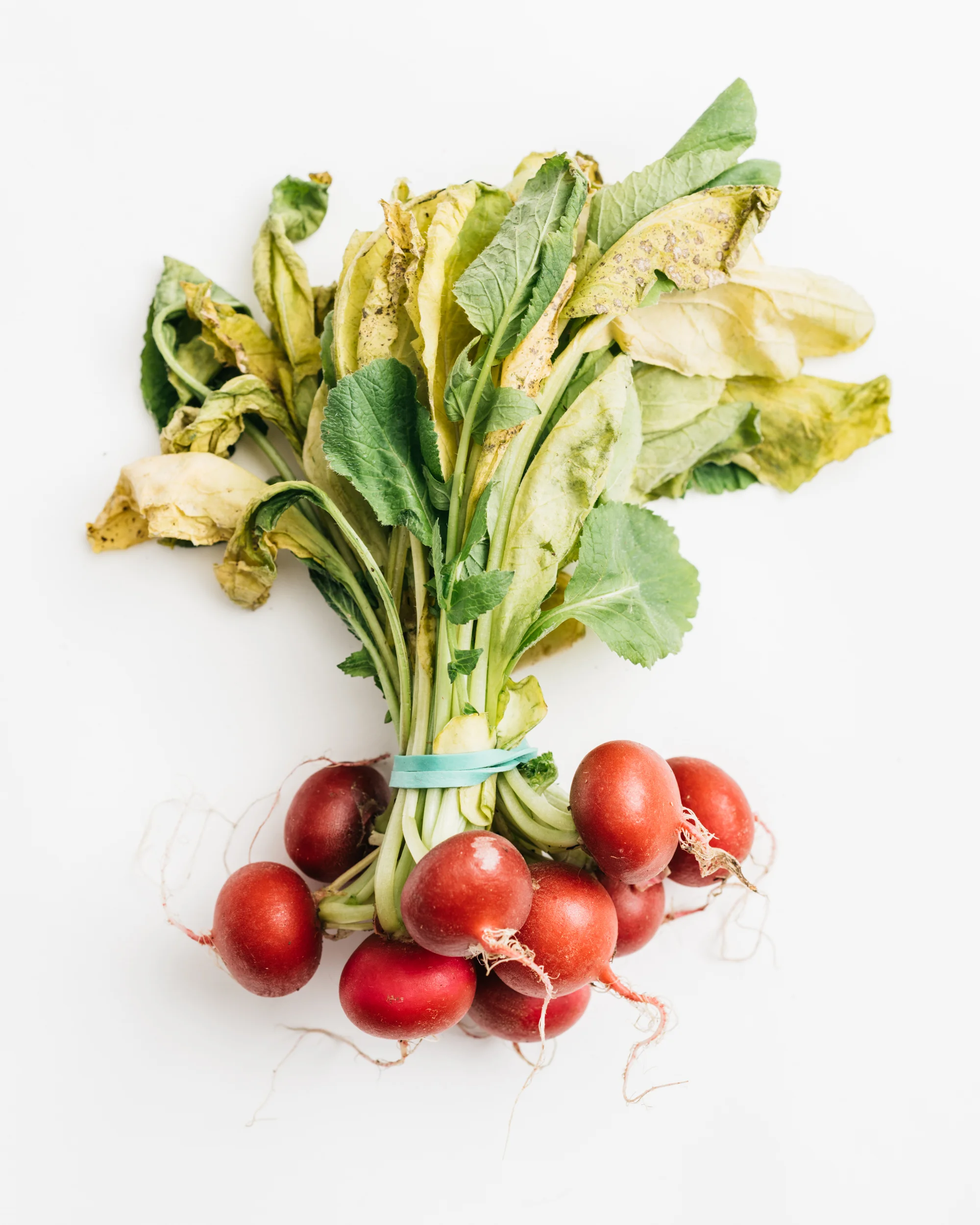 FEA3-BruzdFoods-2910_WEB.jpg