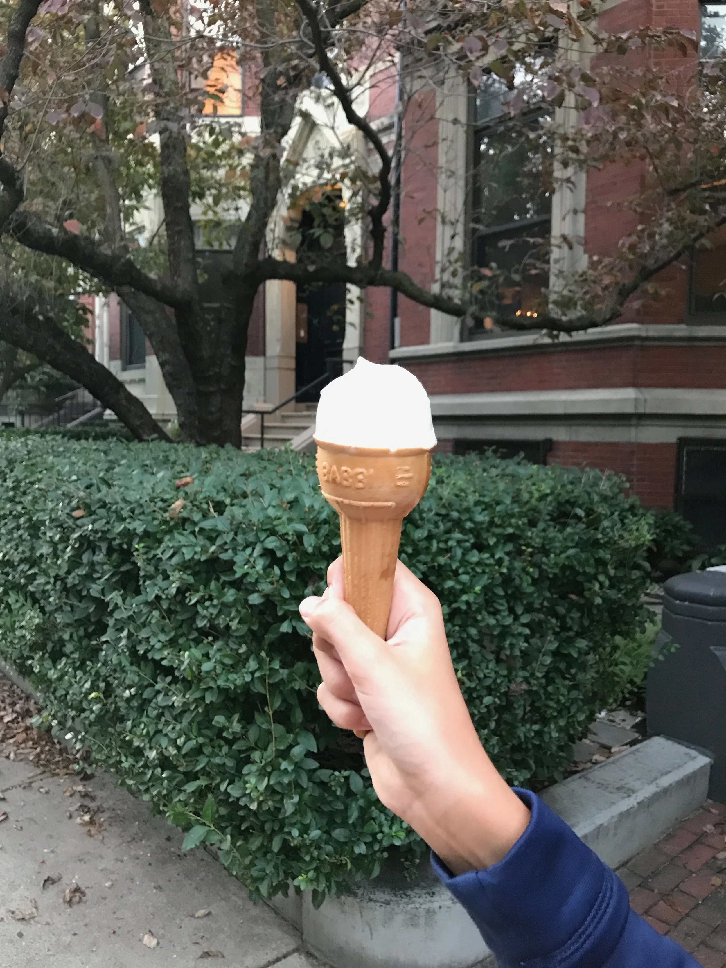 Lavender Honey Ice Cream