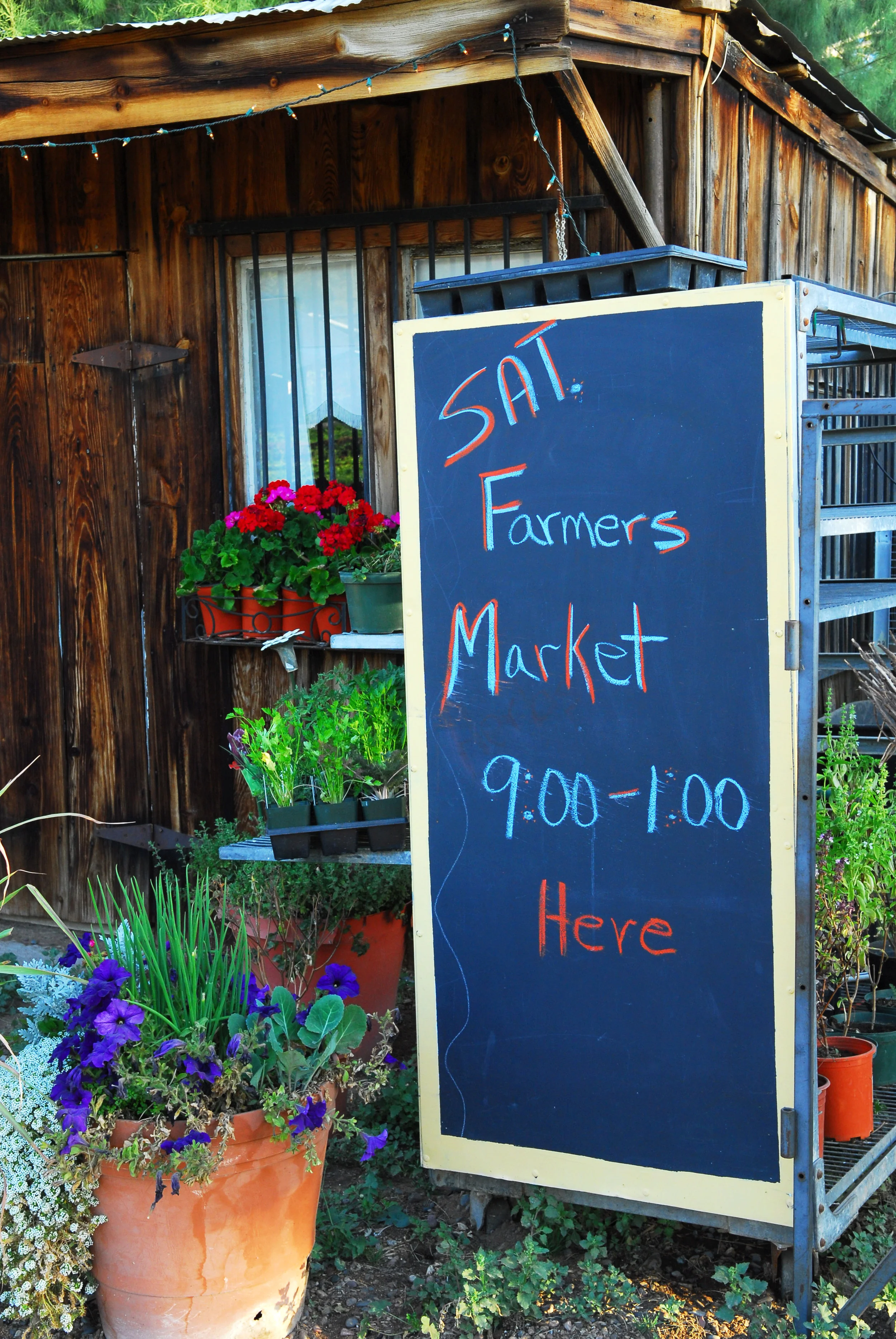 A Farmers Market in Every Town?