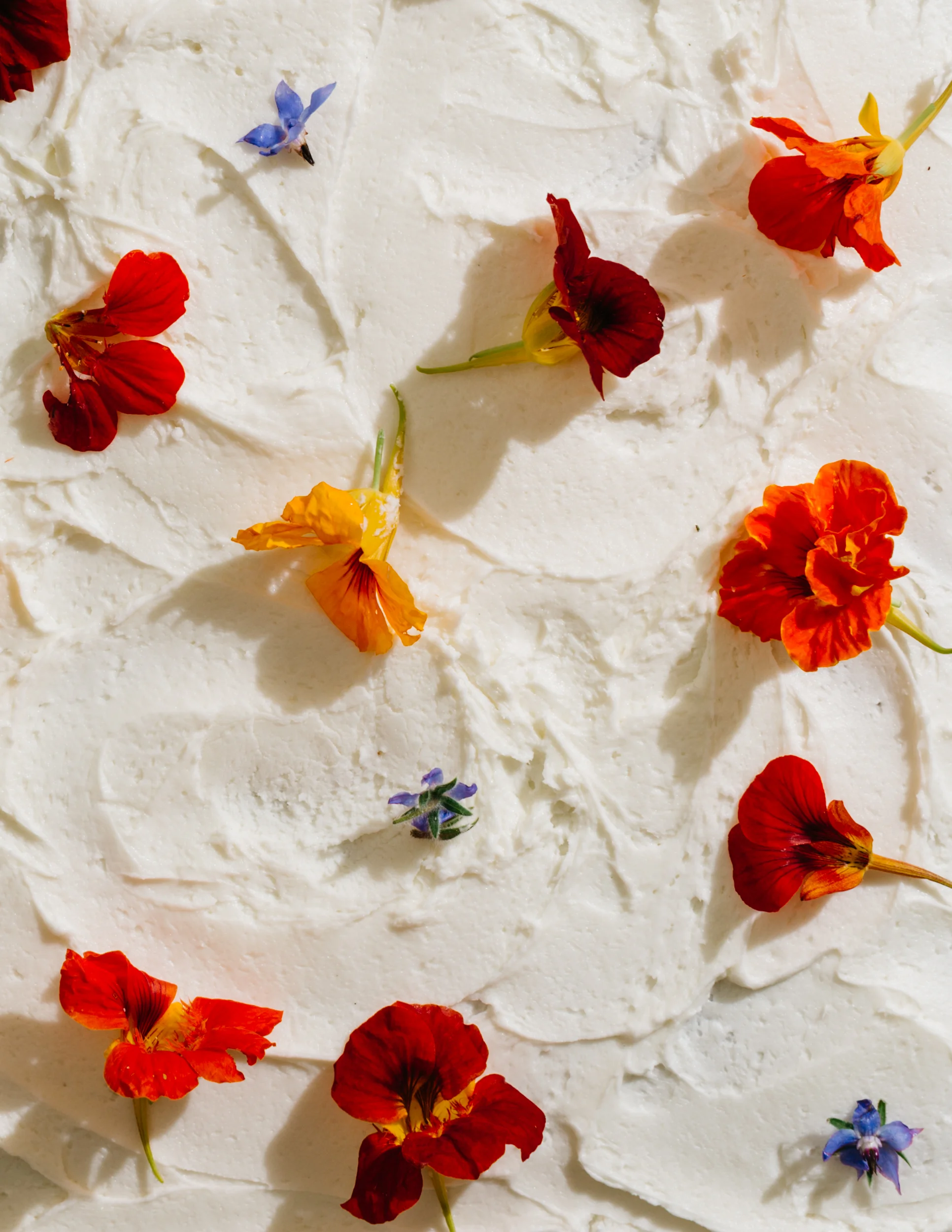 SheetCake-7433_WEB.jpg