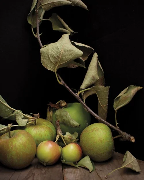Braised Pork with Hard Cider, Apples and Turnips