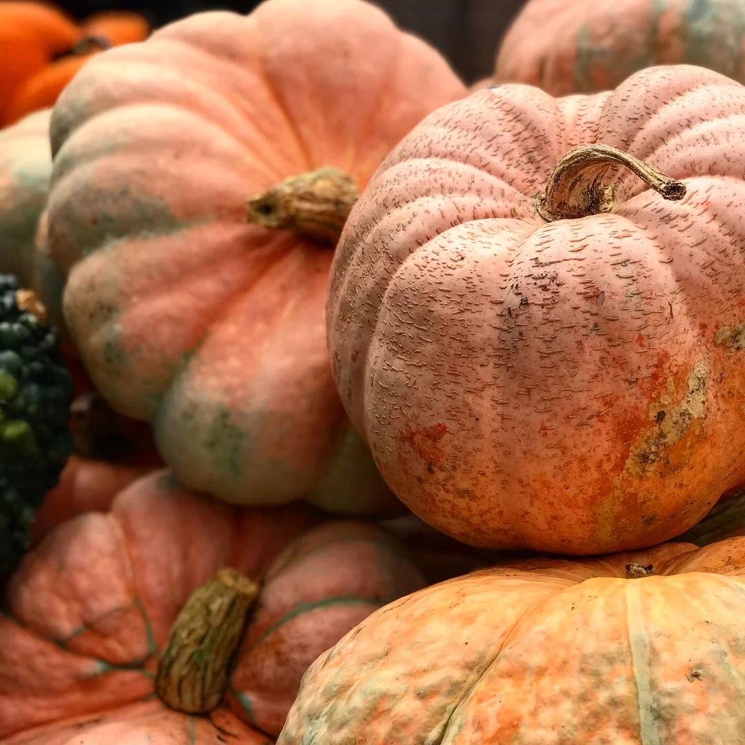 Fall 2018 Editor's Letter