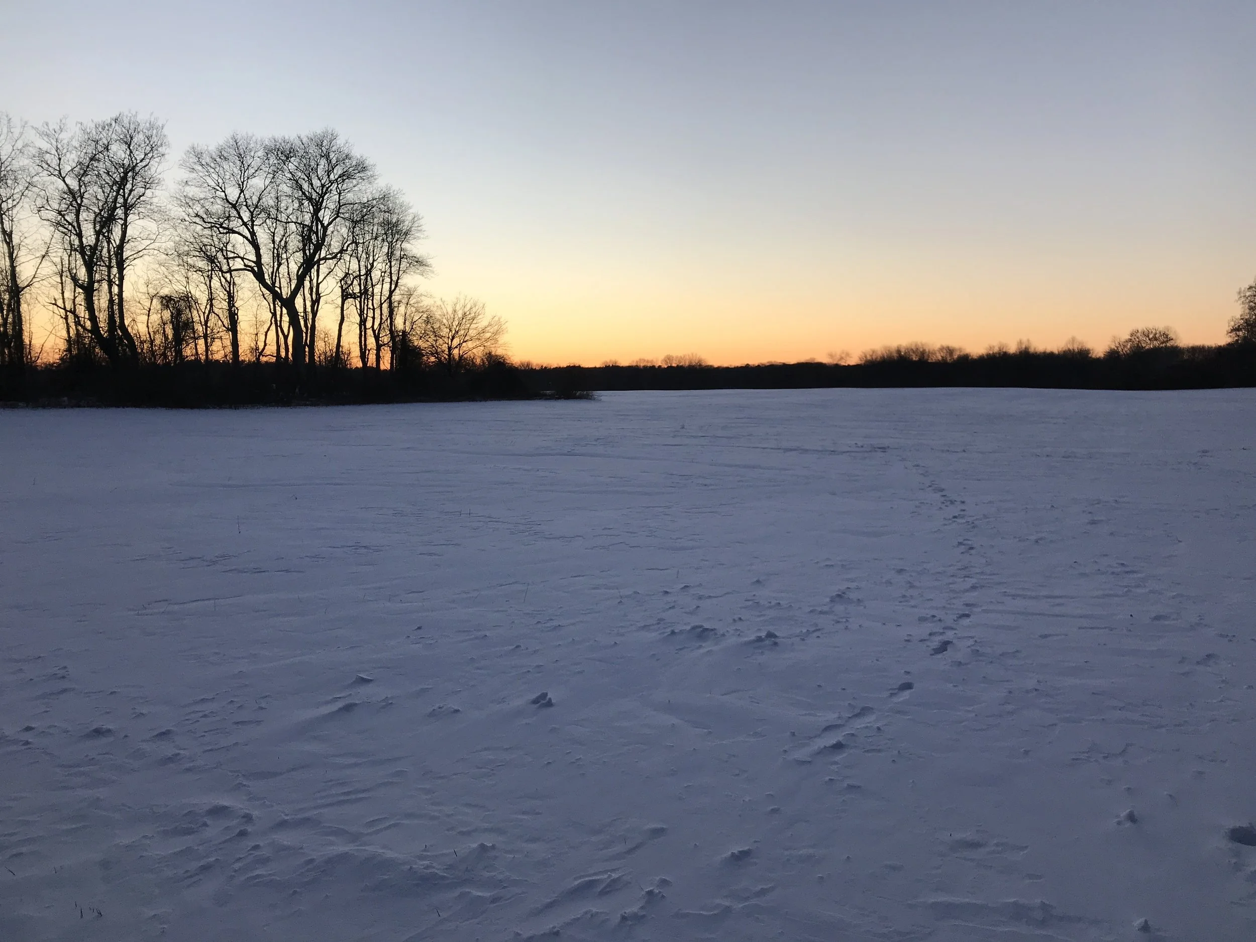 Winter 2018 Editor's Letter