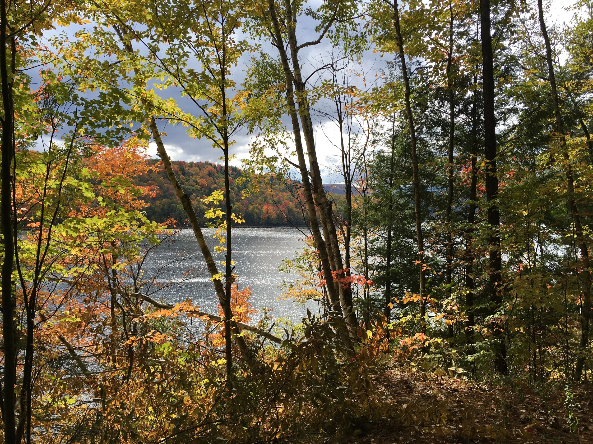 Fall 2017 Editor's Letter