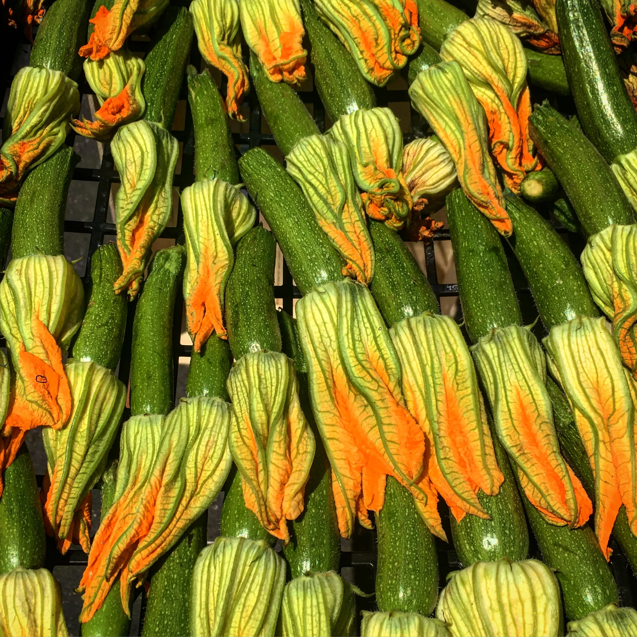 One Ingredient: Zucchini