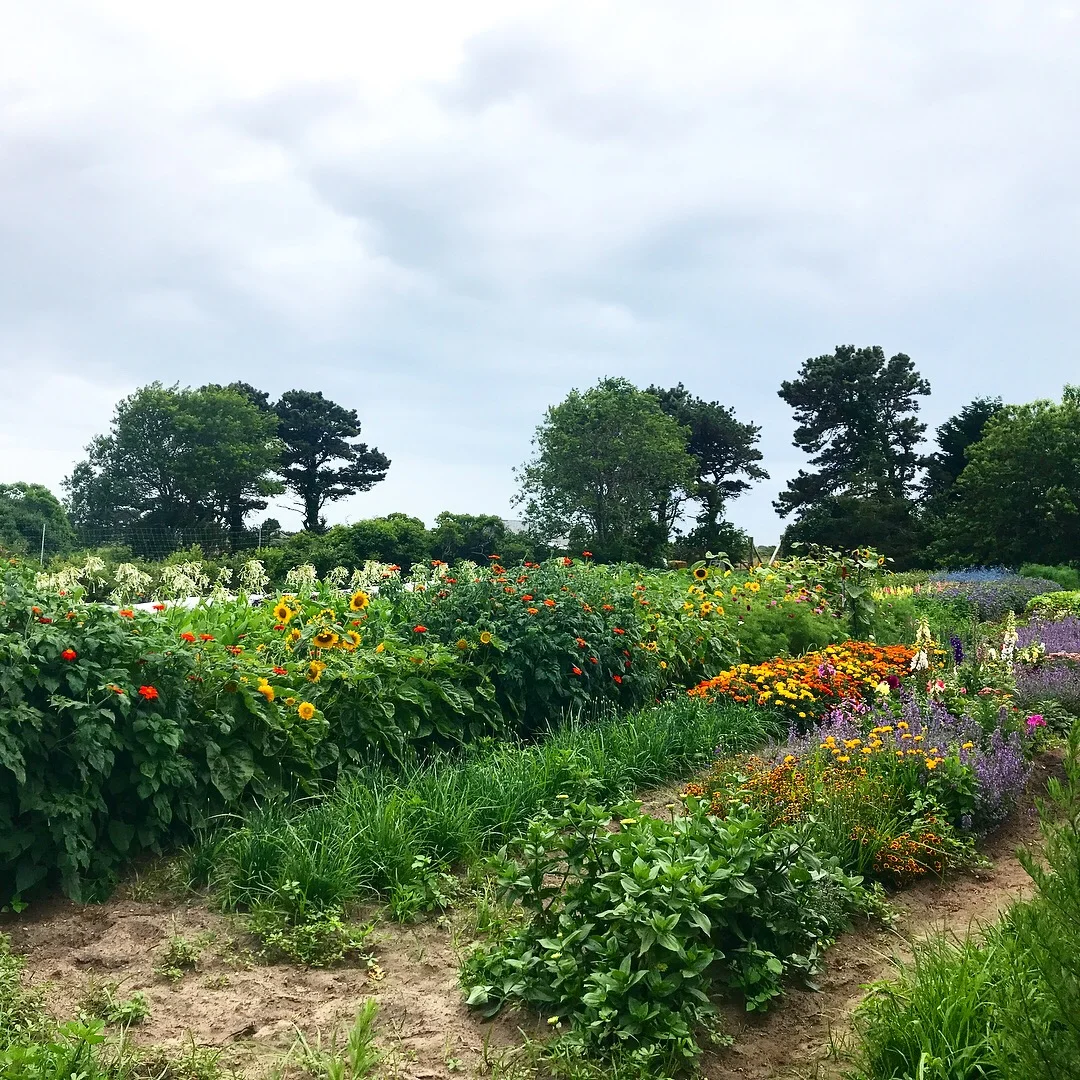 Summer 2017 Editor's Letter