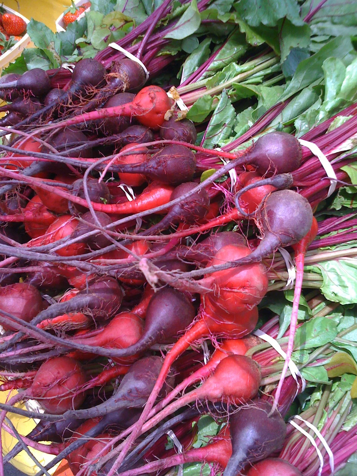 What's in Season: Beets and Monkfish