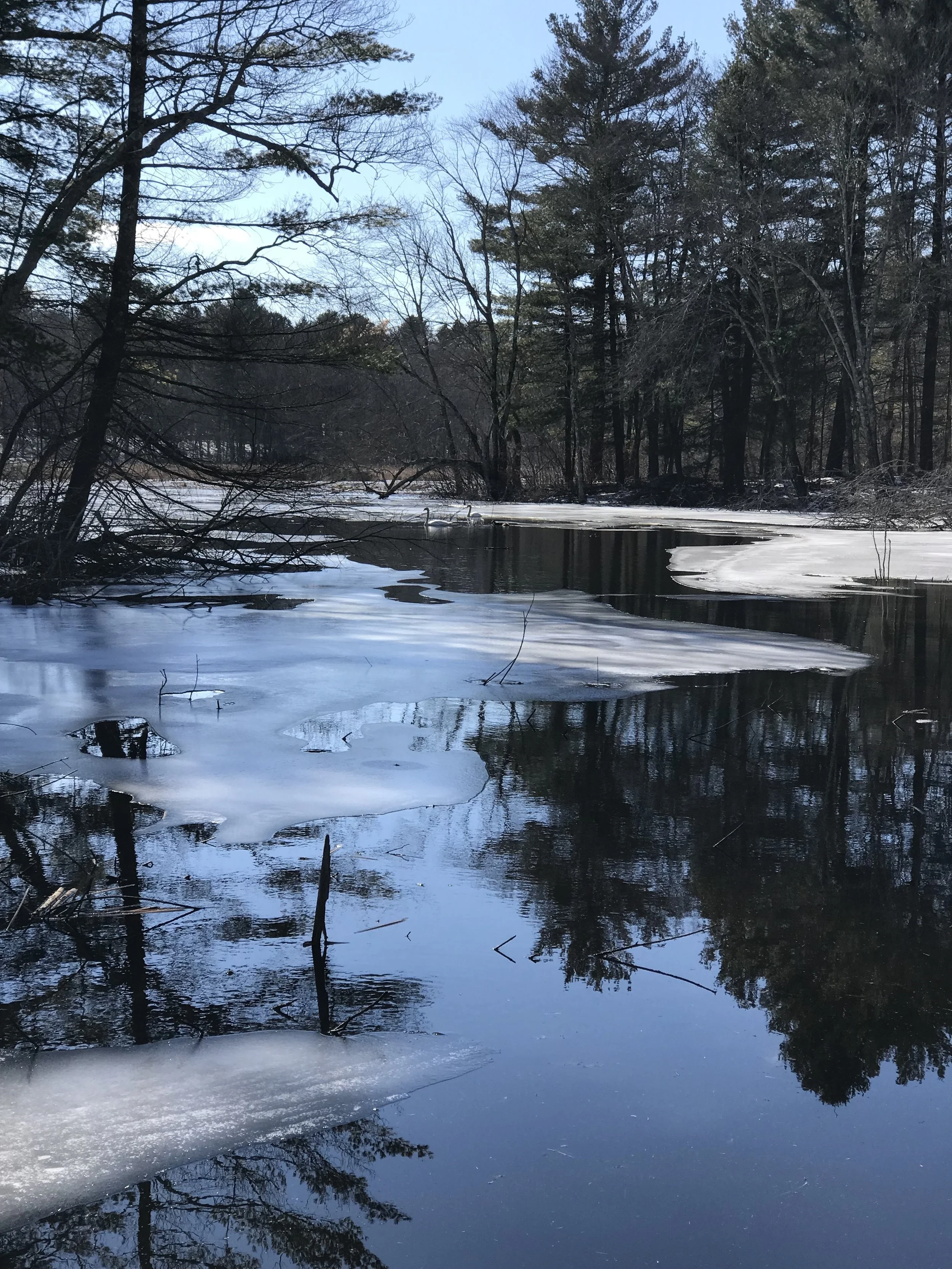 Letter from the Editor: Winter 2017