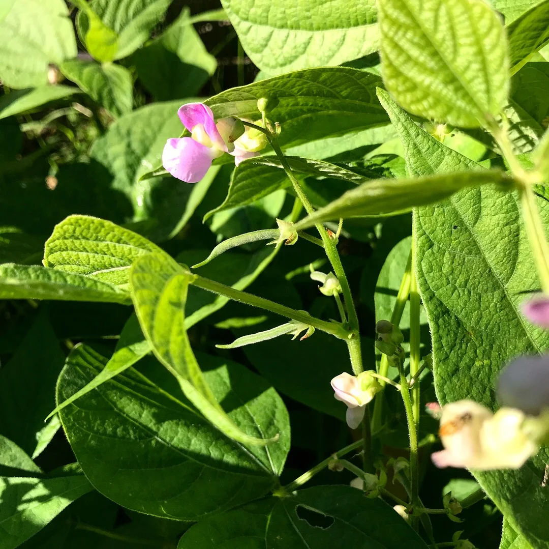 Love Those Dirty Fingernails