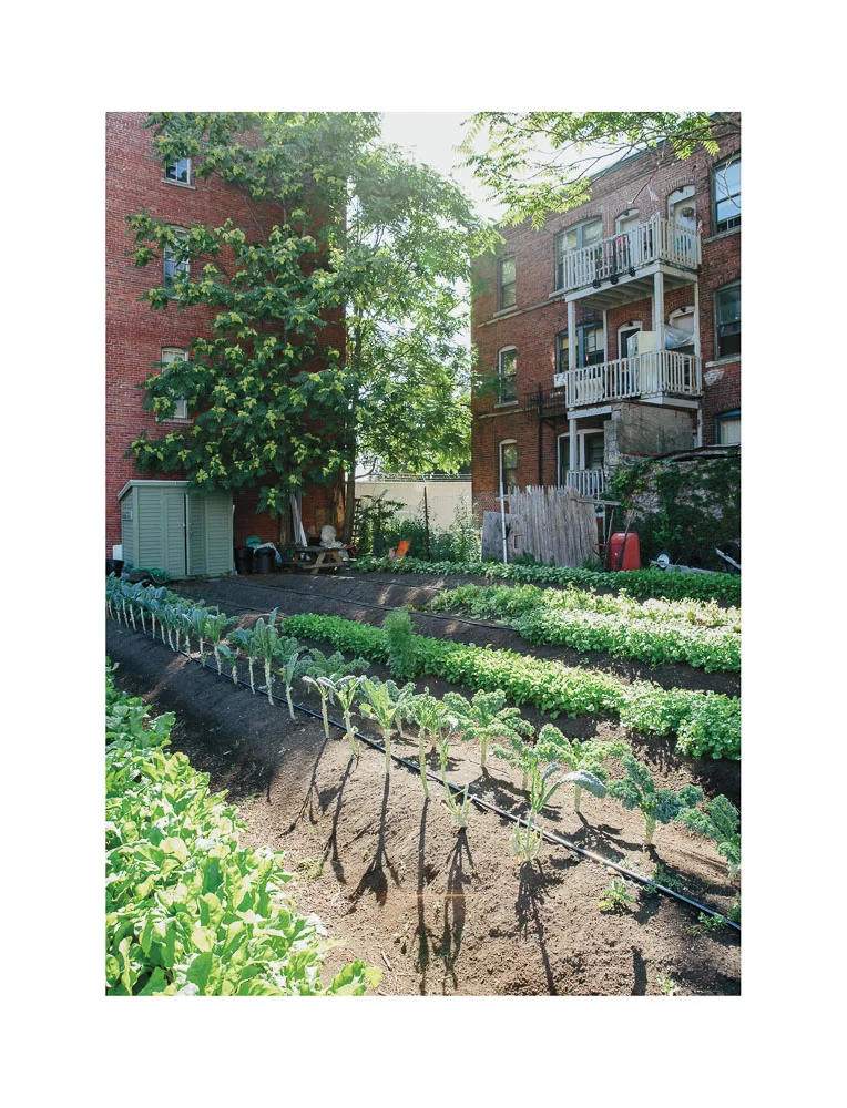 Growing Community and Produce in Lowell