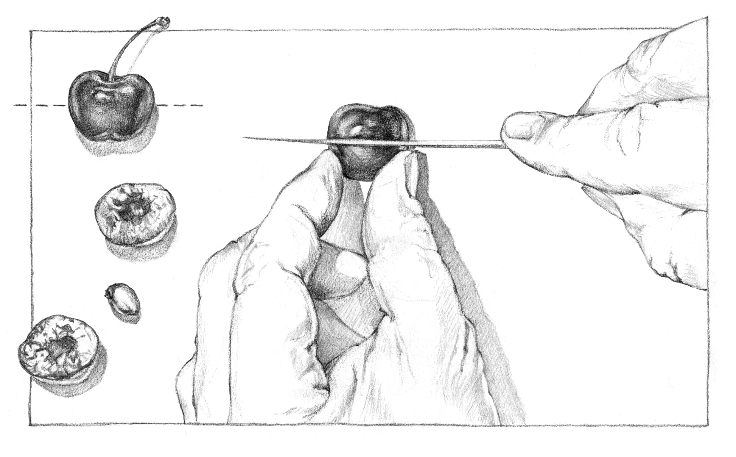 Pitting Cherries Without a Pitter