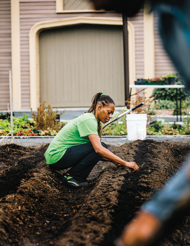 A Farm Grows in Mattapan: the Urban Farming Institute at Fowler Clark Epstein Farm
