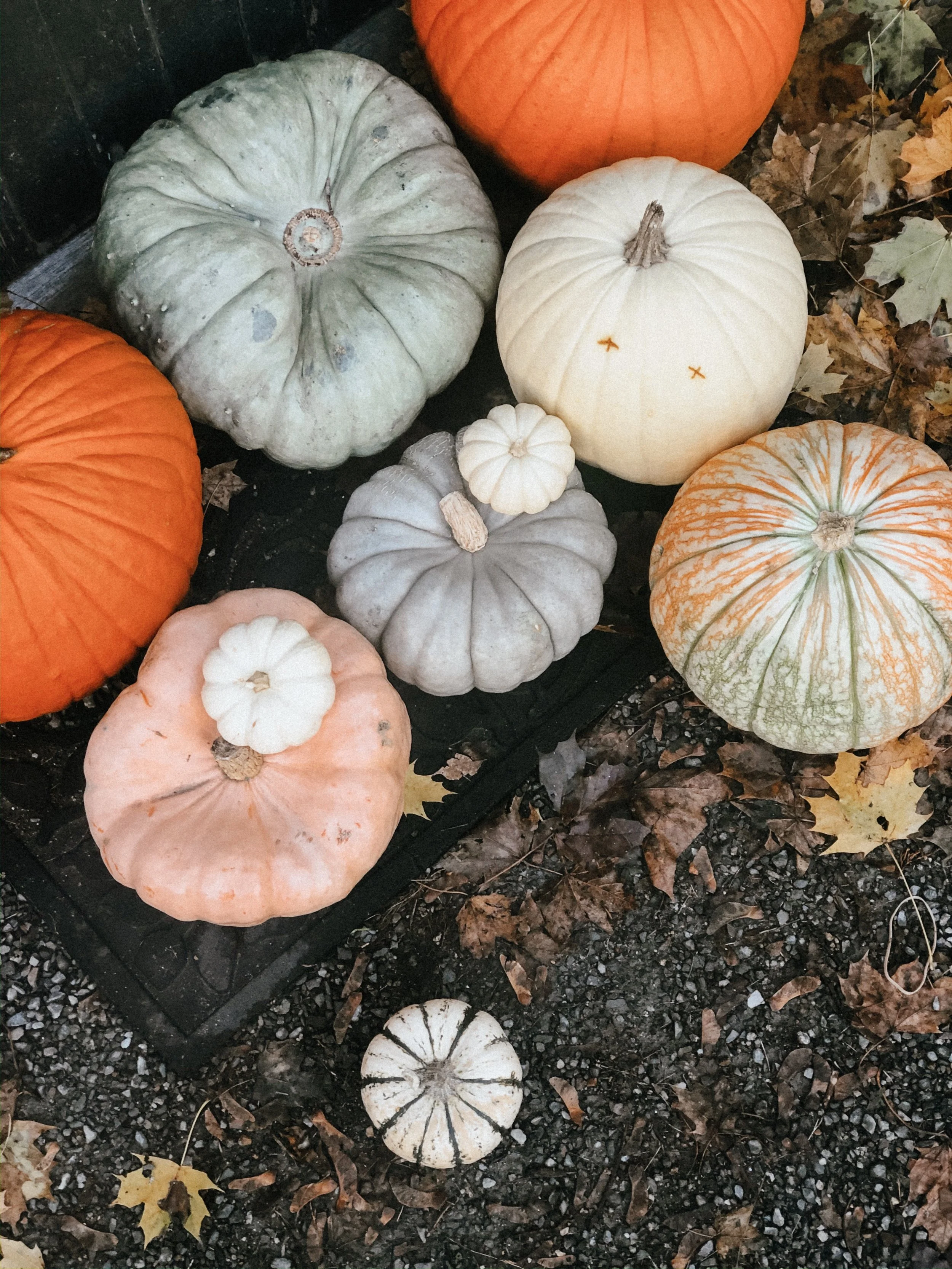 Pumpkin Salvage 101