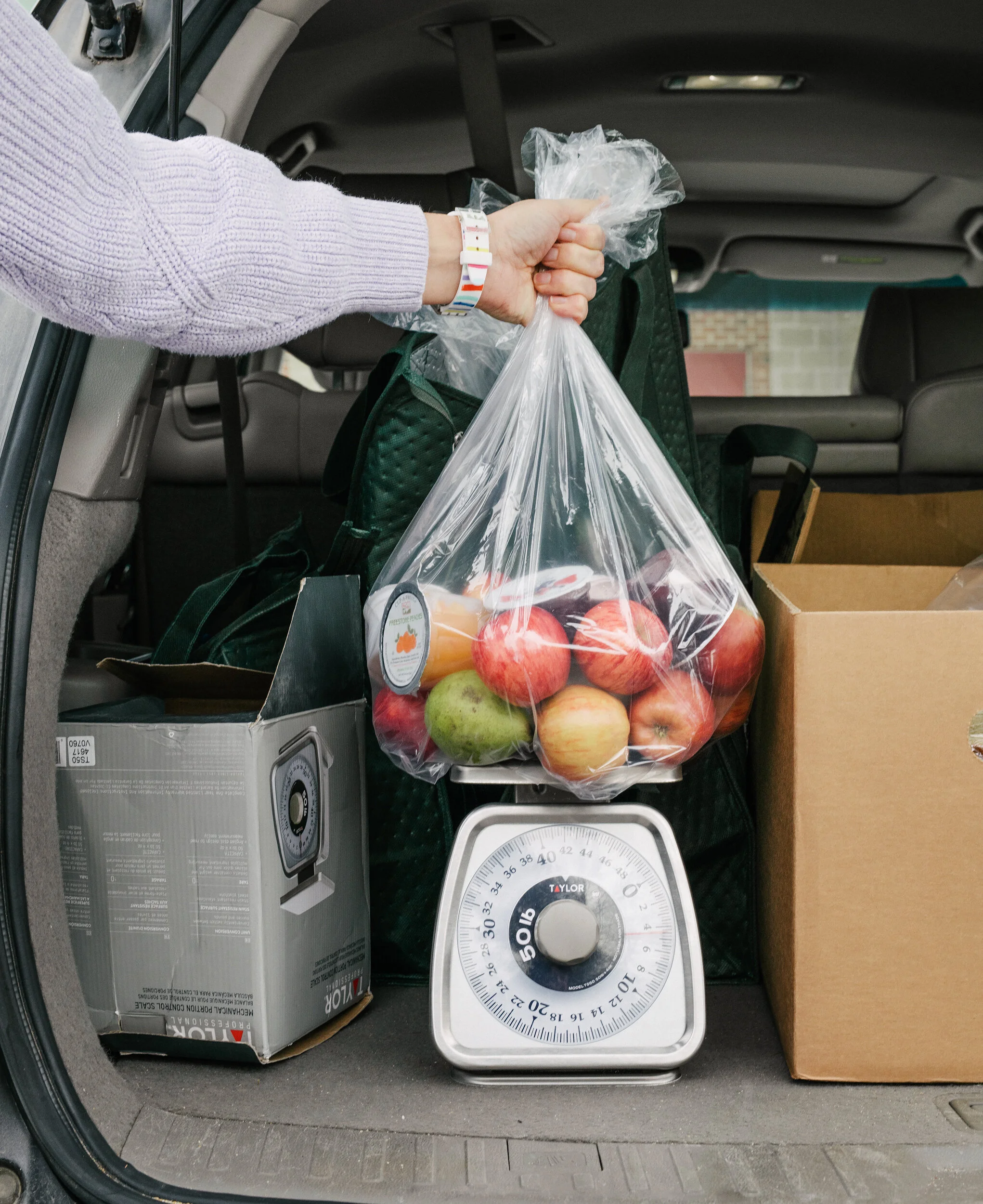 Edible Food Finds: School Food Recovery