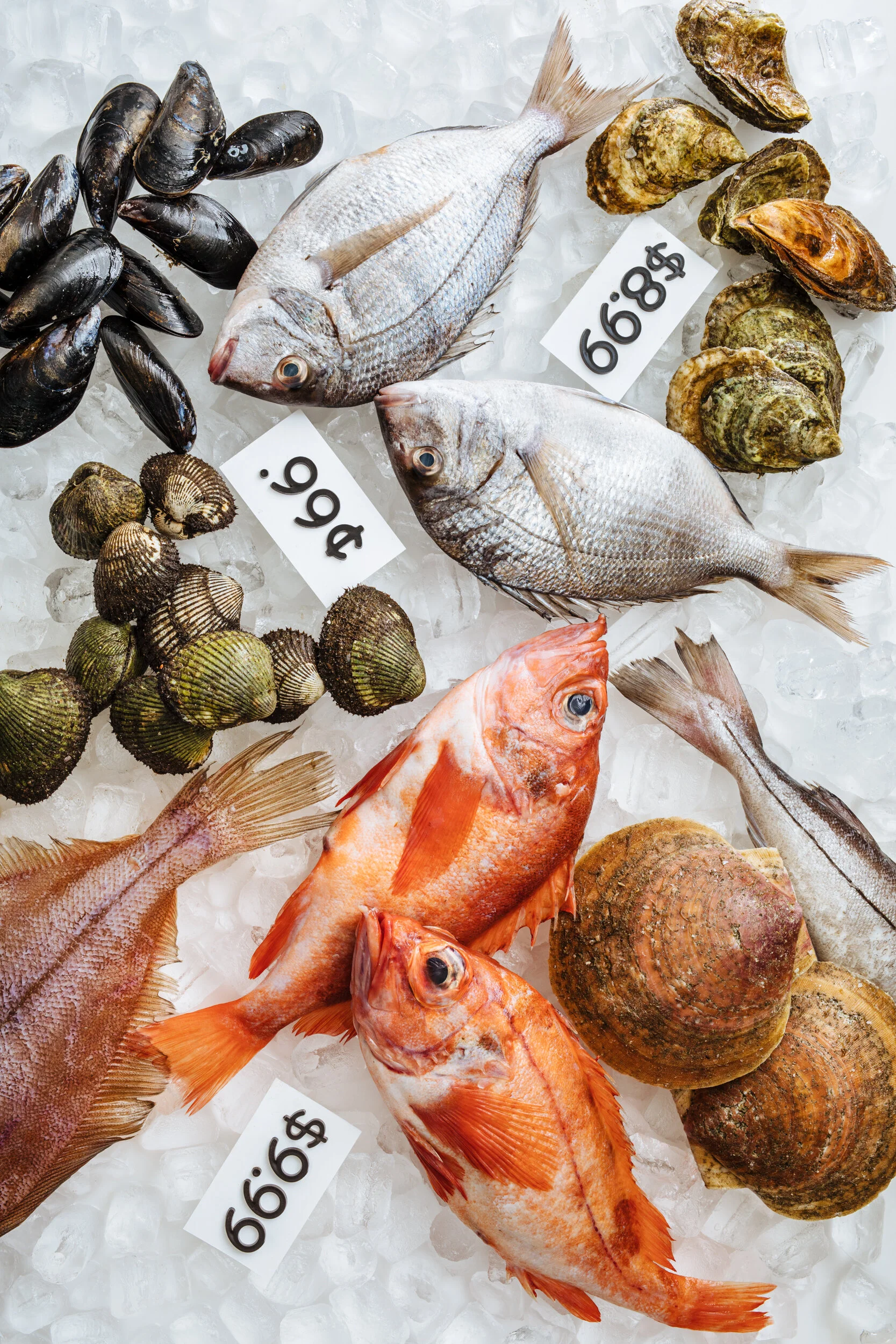 Be True to Your School: Local Seafood is Worth Seeking Out—All Year Round