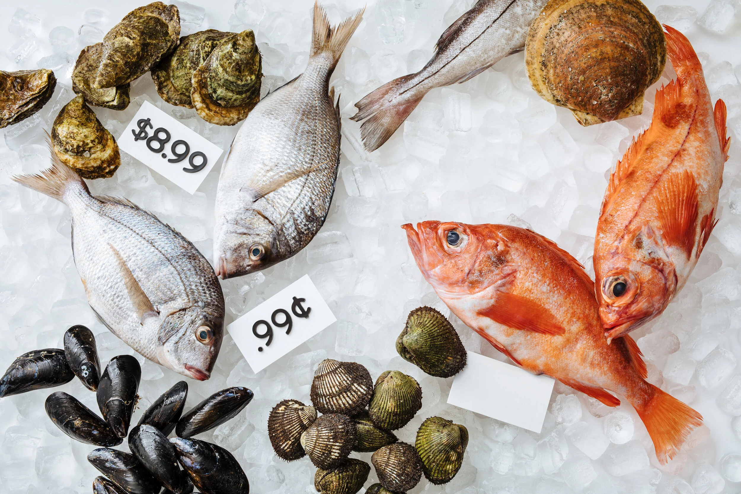 Be True to Your School: Local Seafood 