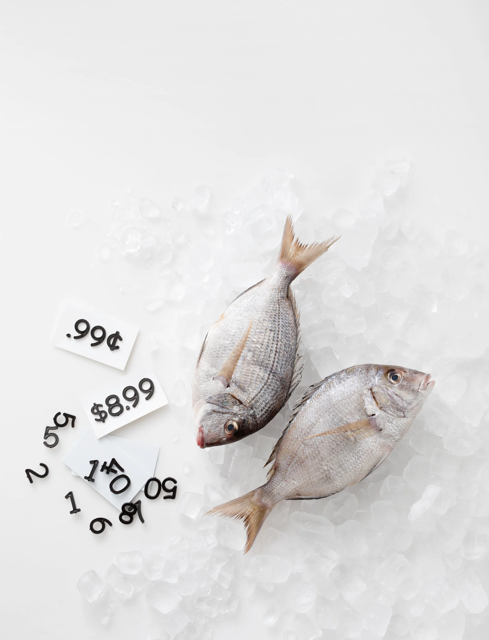 Tips When Buying Local Seafood