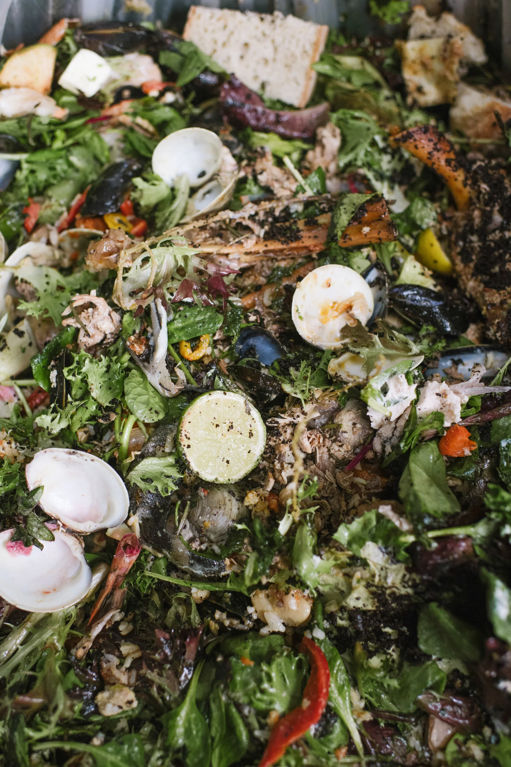 Toward a Greener Tomorrow: restaurants lead the way with win-win-win sustainability measures