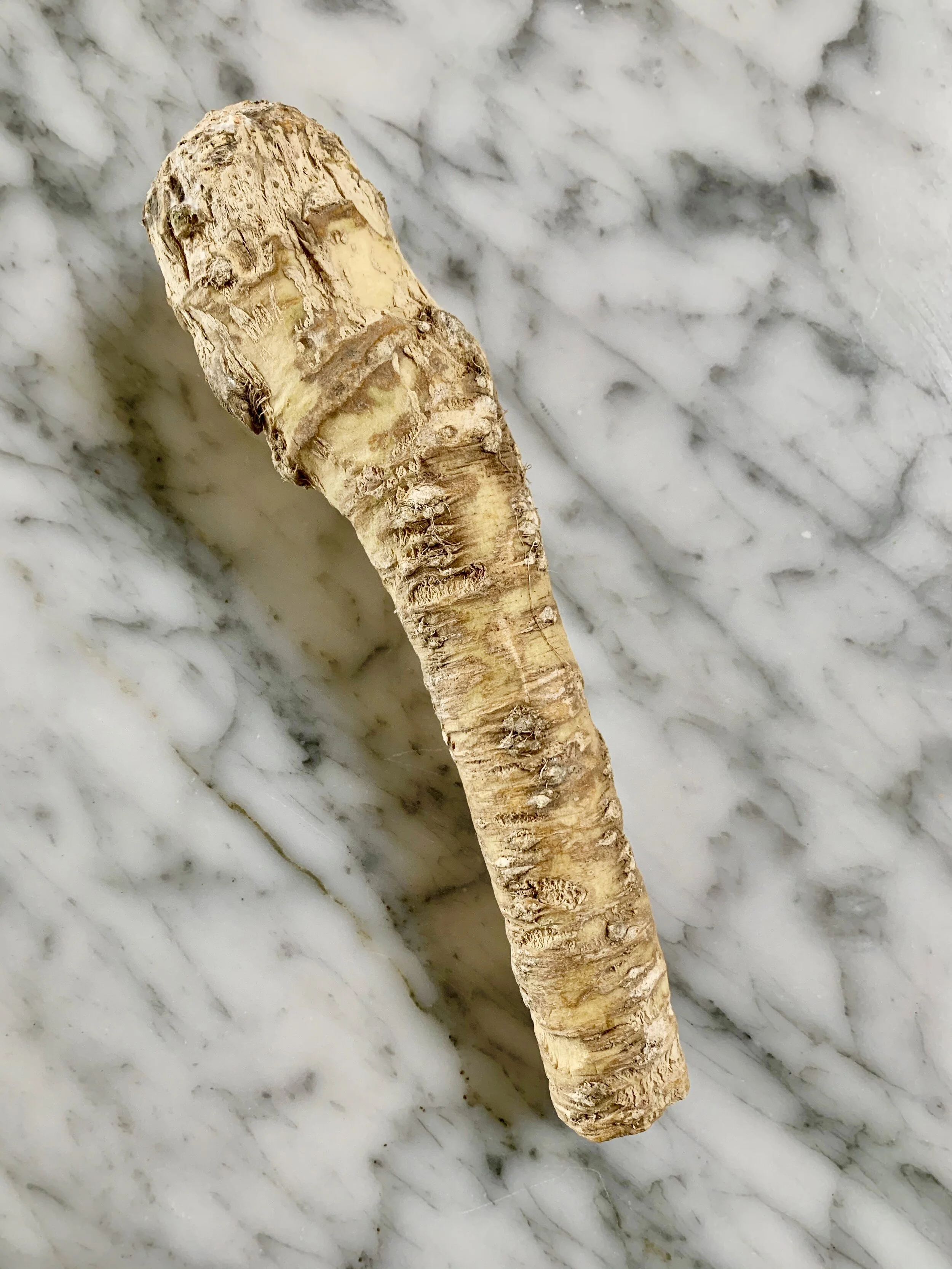 Tony Maws' Prepared Horseradish