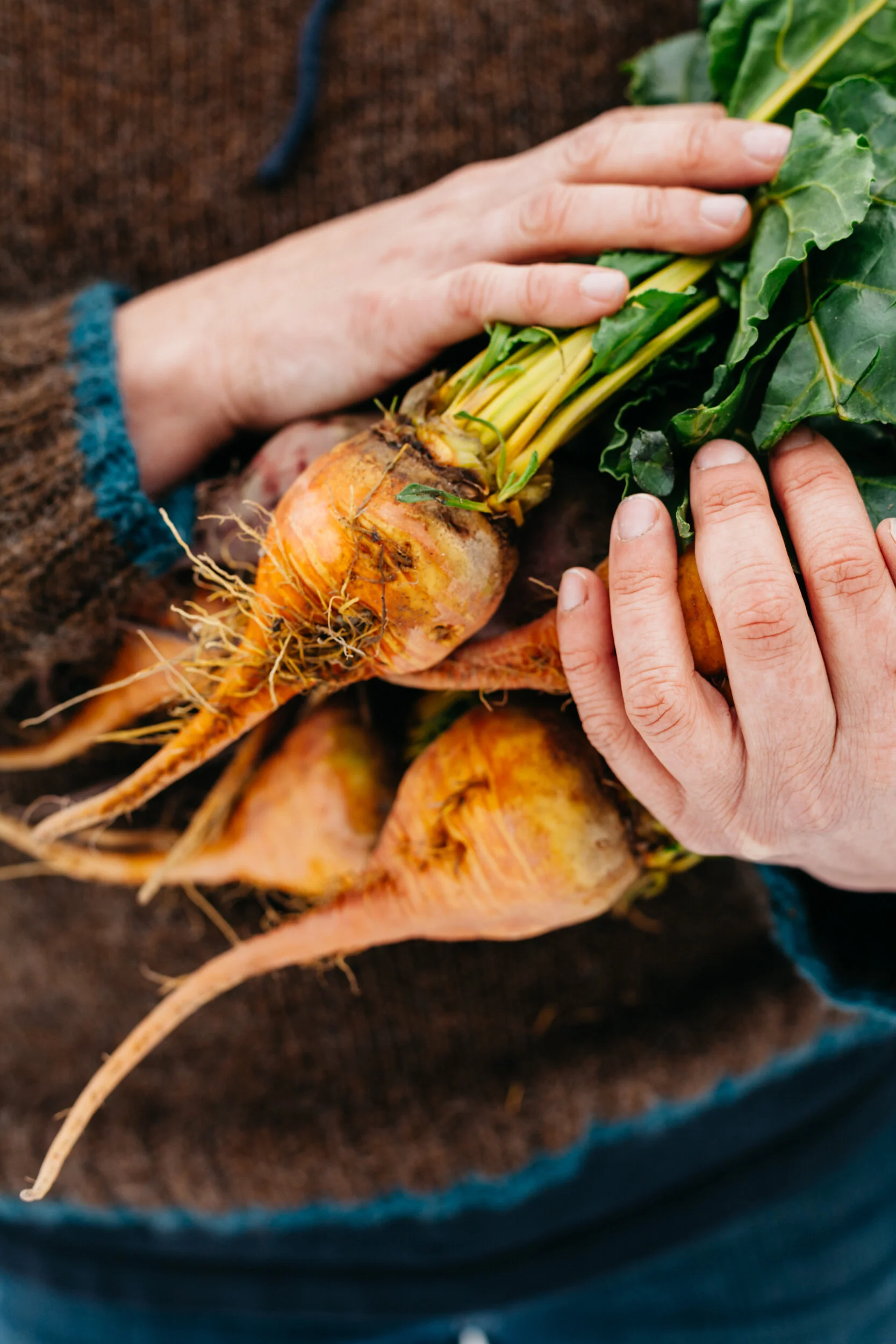 Farming Through a Crisis to Feed the Commonwealth