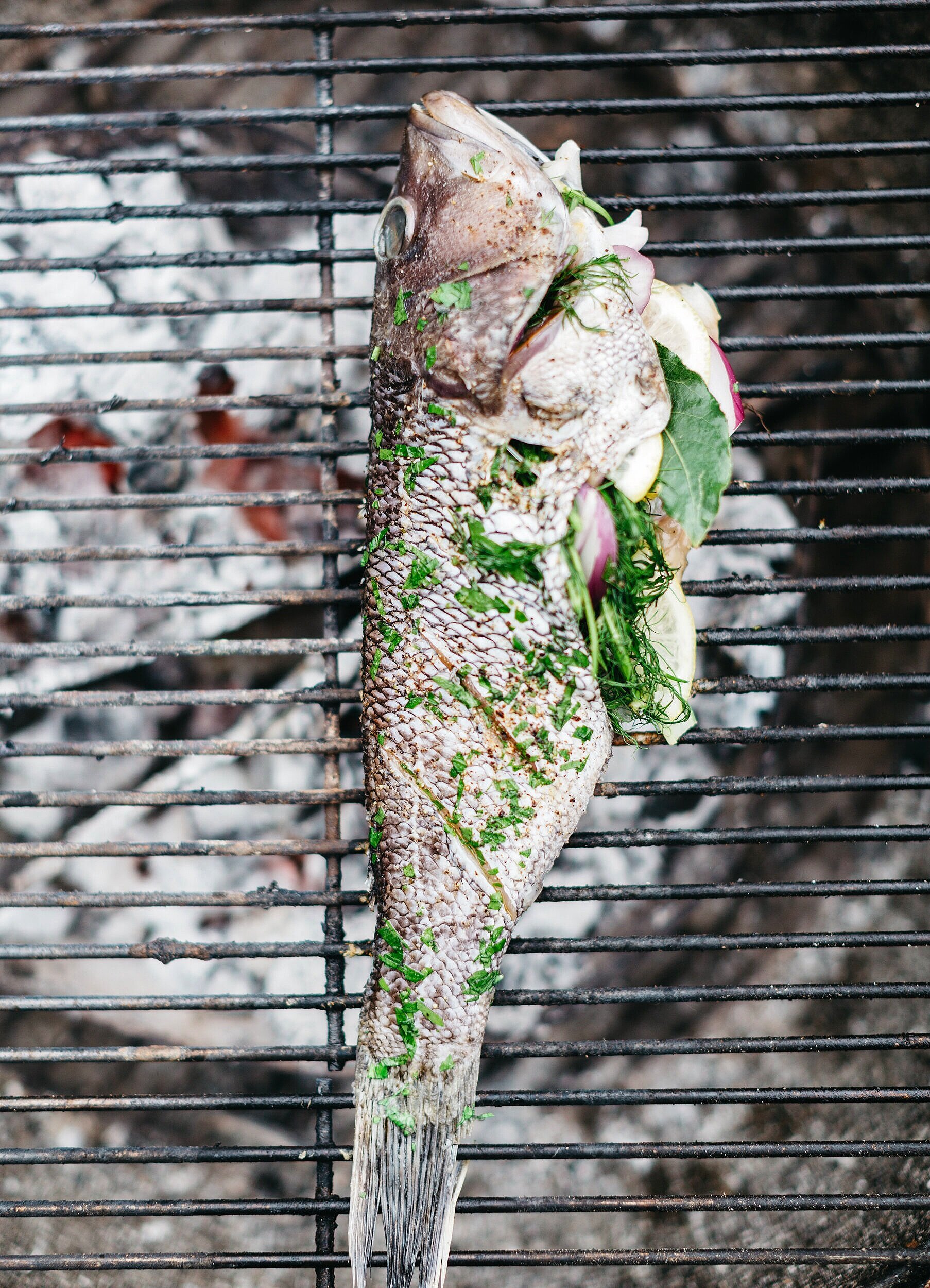 Grilled Black Sea Bass with Shaved Fennel Salad and Corn in Fennel-Dill Butter Sauce