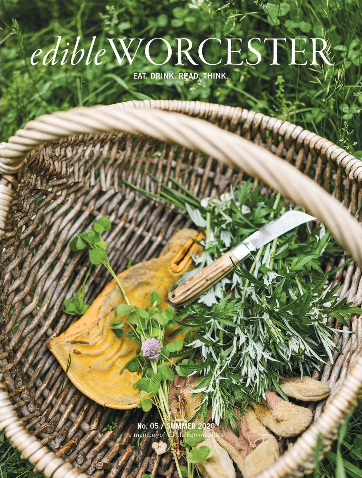 Edible Worcester, Issue 5: Editor's Letter