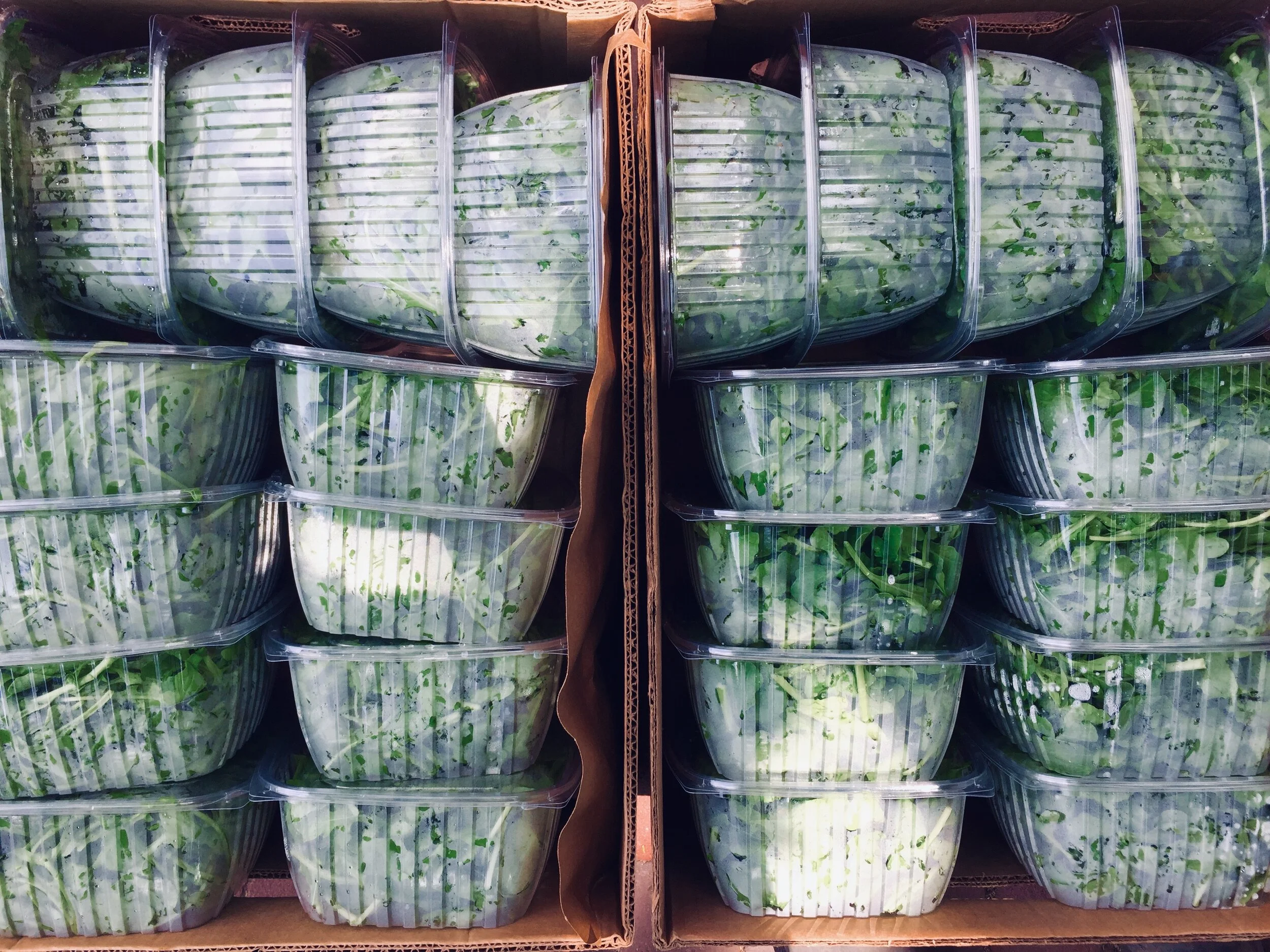 Boxed greens.jpg