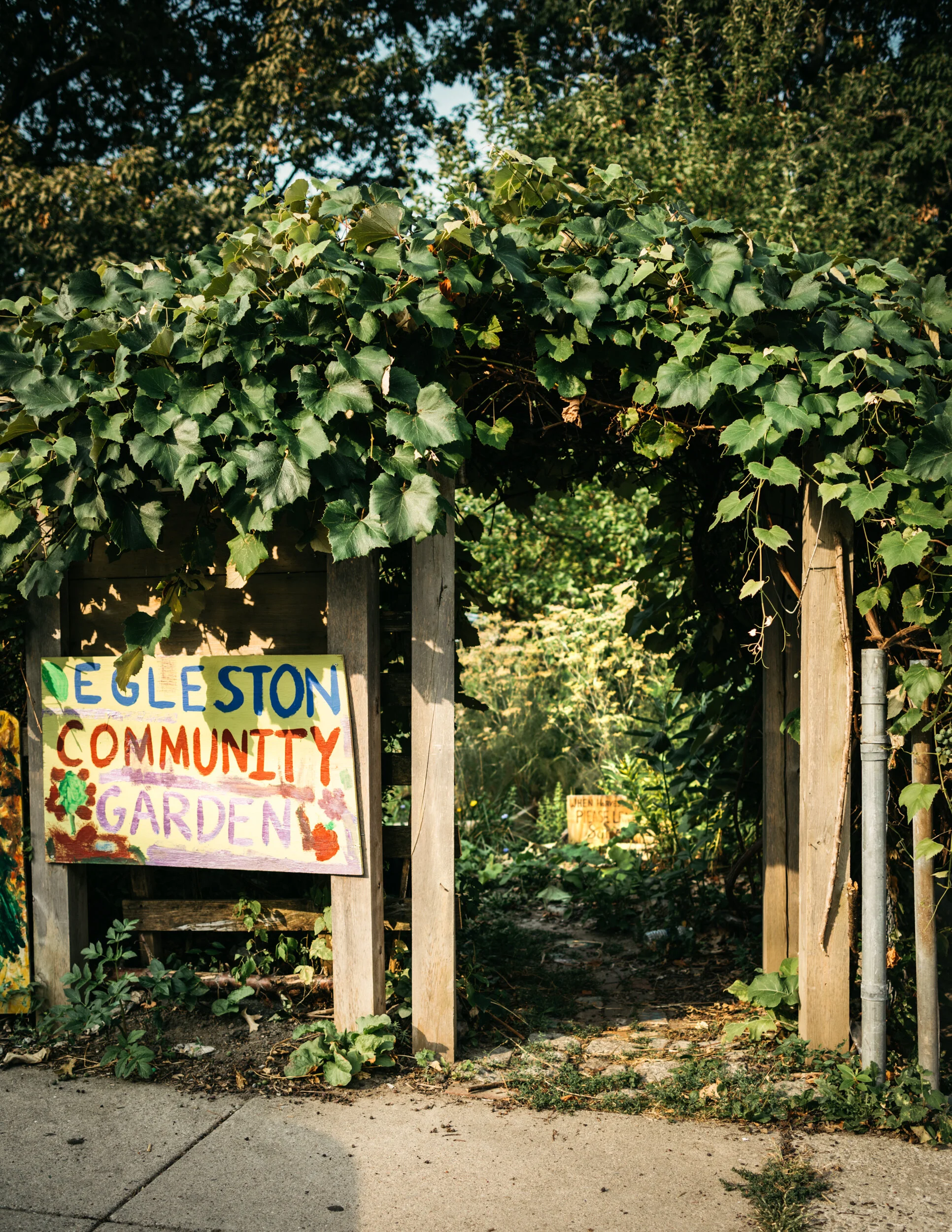 Good Things Grow in Forests: Boston Food Forest Coalition Nourishes Neighborhoods As Well As Bellies