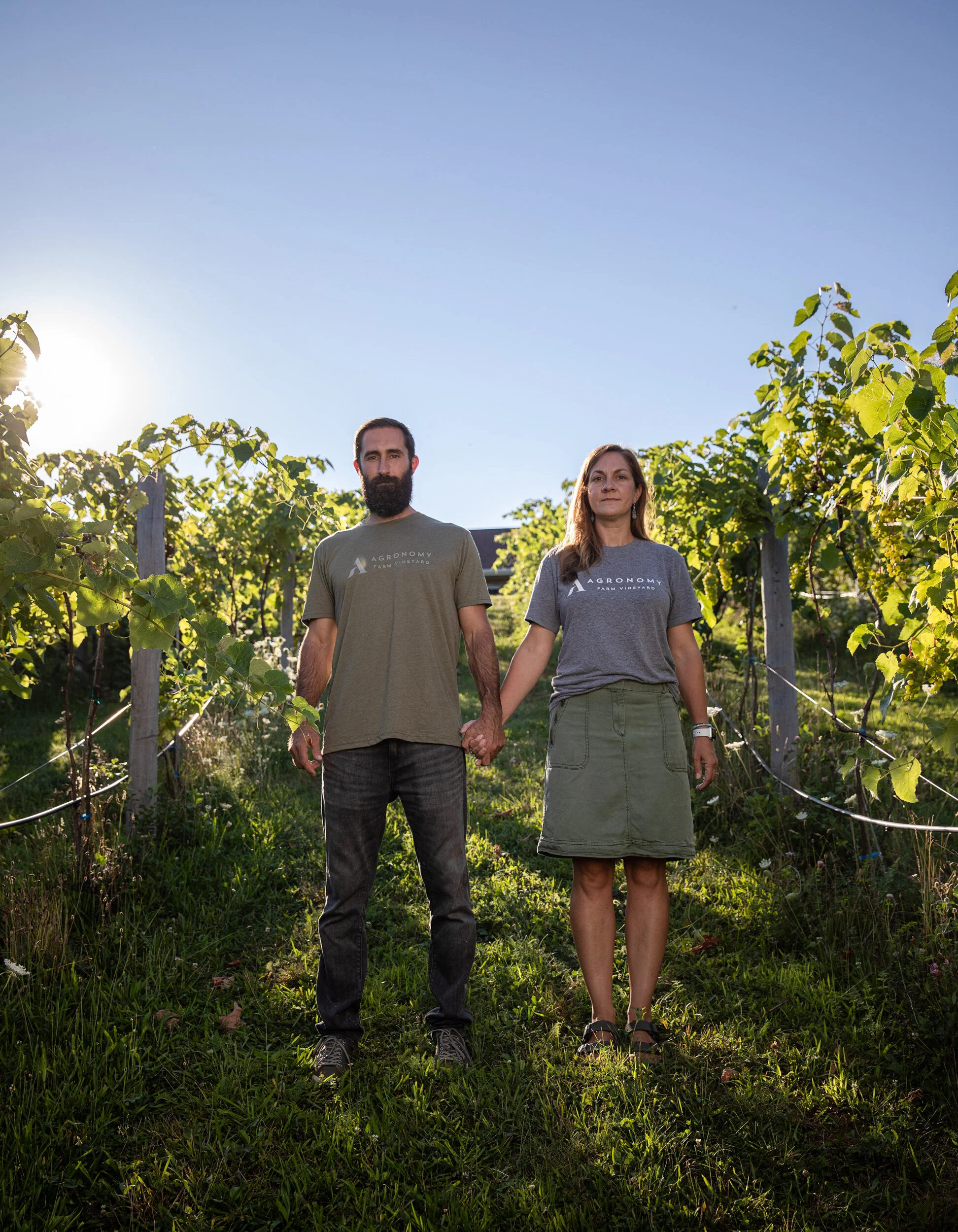Agronomy Farm Vineyard