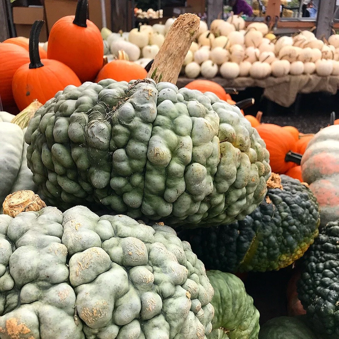 Feeding the Extra Need: Local Farmers Markets Take Steps to Meet the Pandemic’s Demand