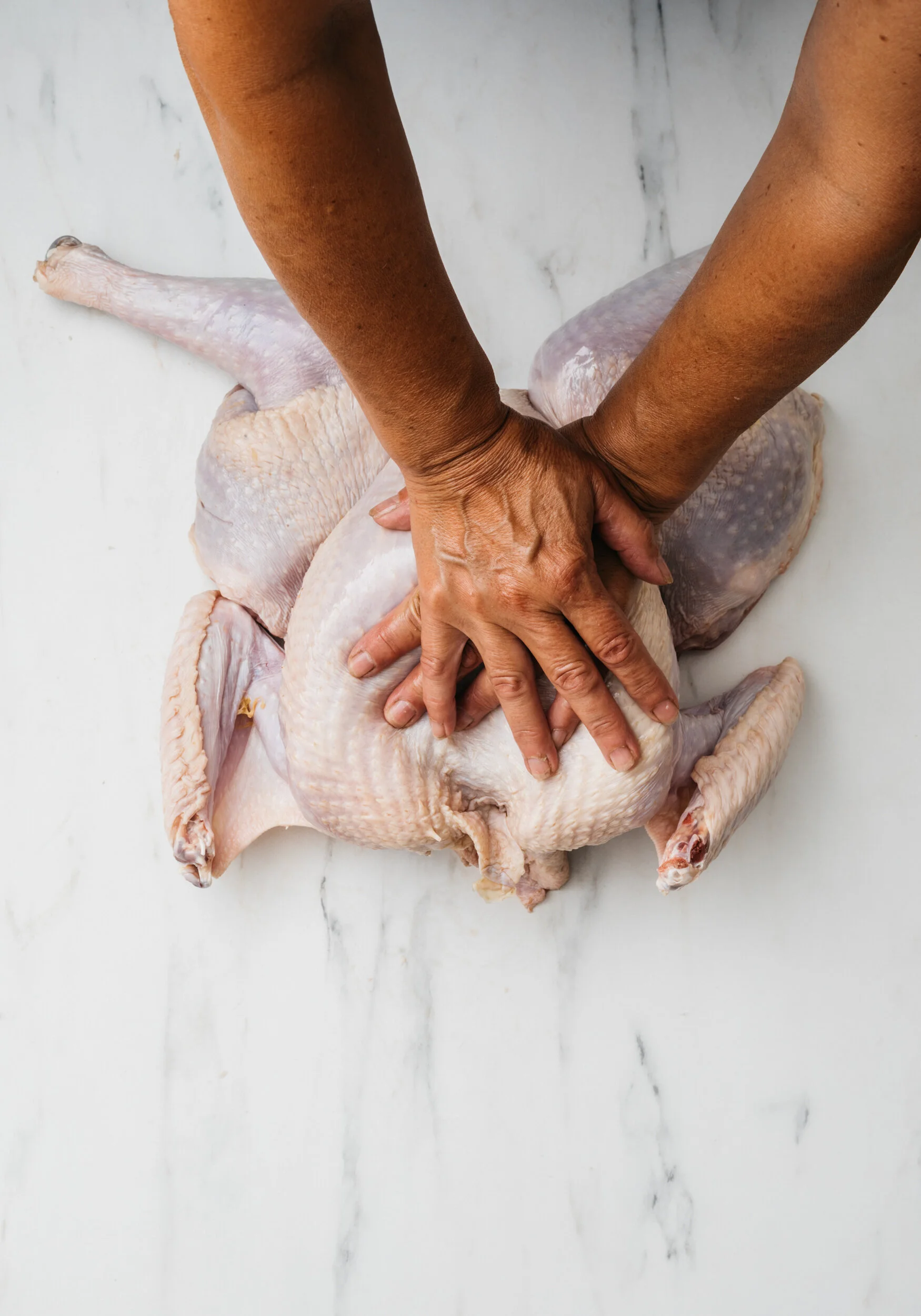 FEA-Turkey-Spatchcock-3822_WEB.jpg