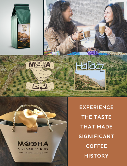 Mocha Connection