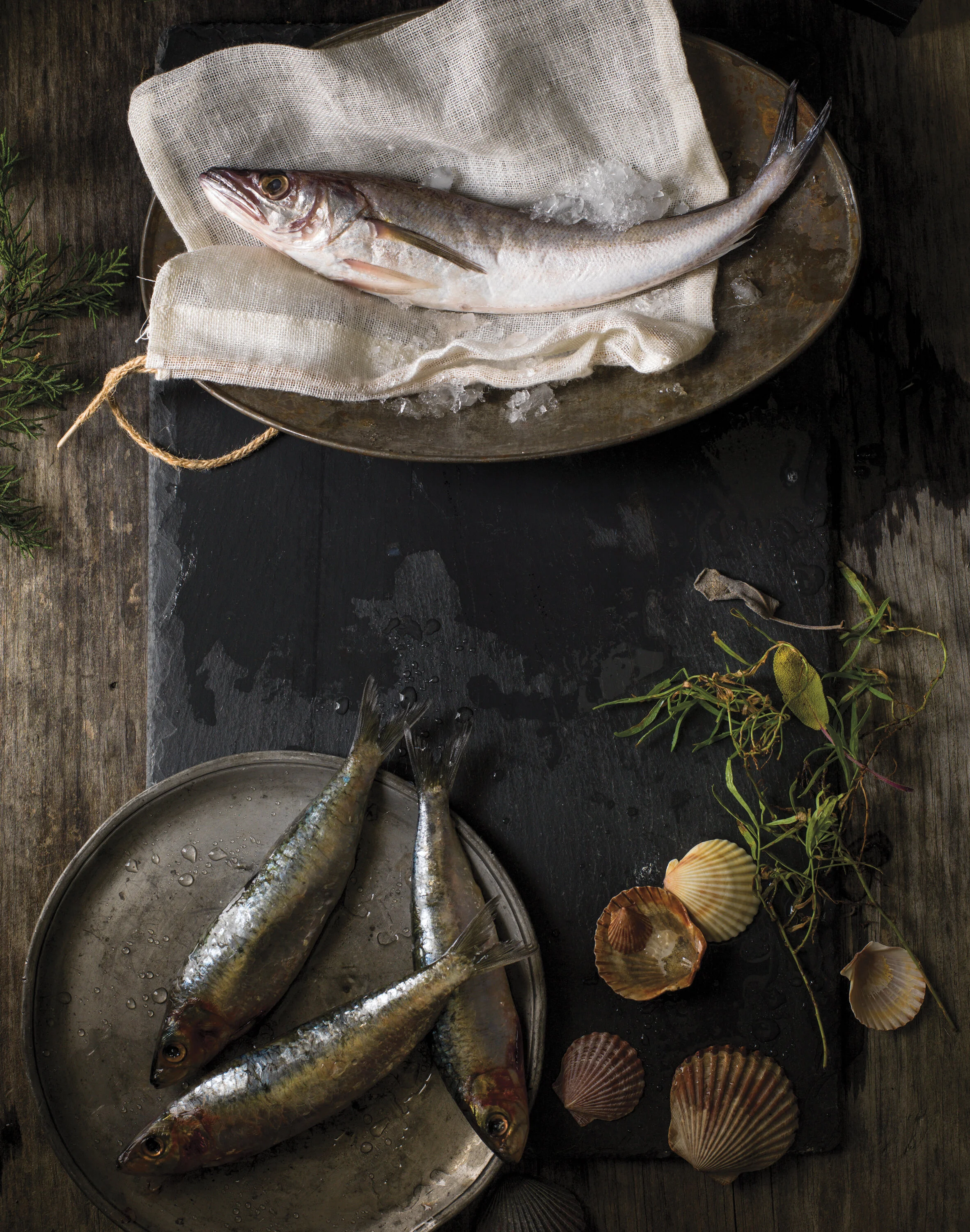 Feast of the Seven Fishes