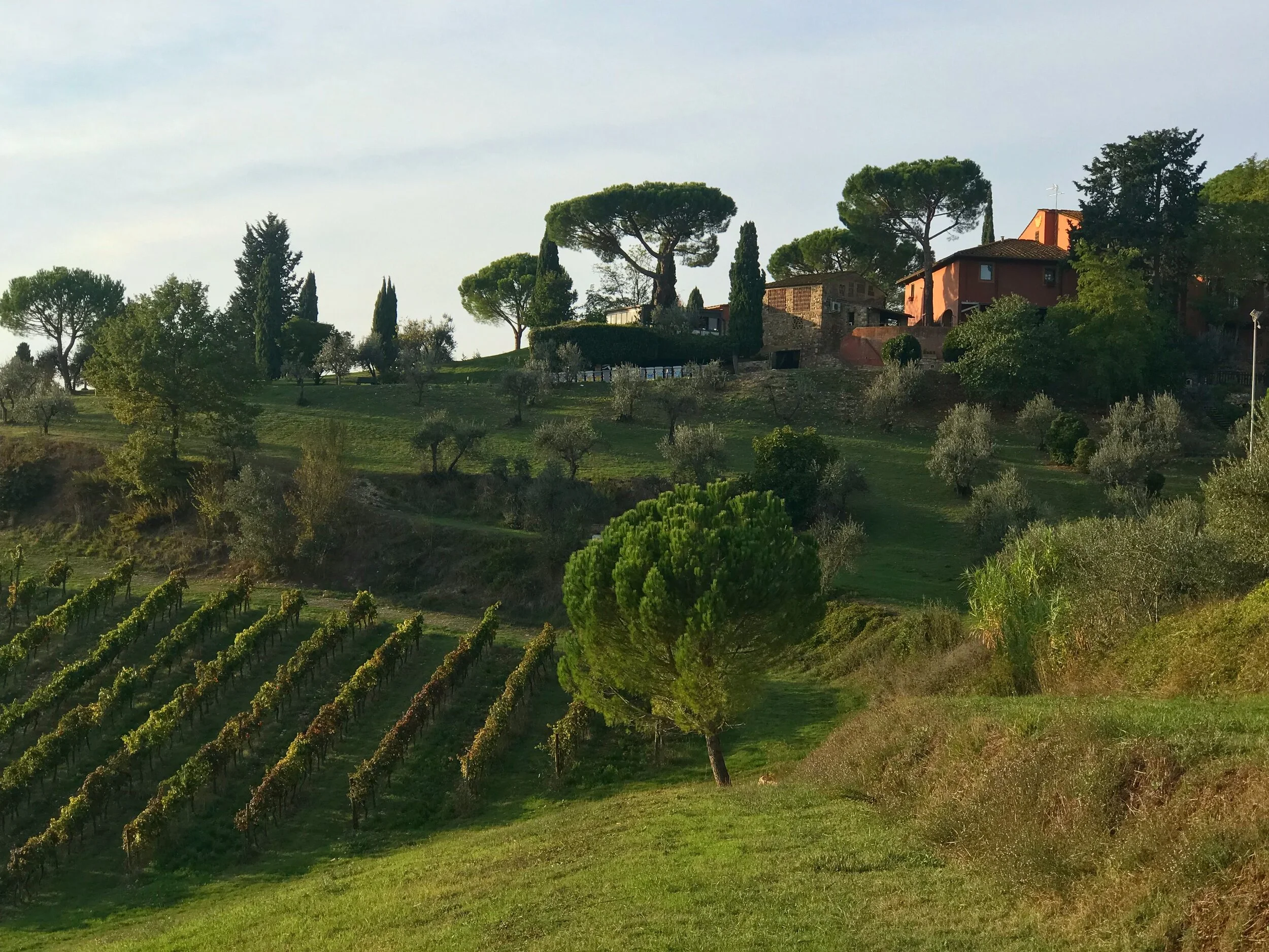 An Armchair Escape to Italy on the Wings of Wine Importer Gemma Iannoni of Giannoni Selections