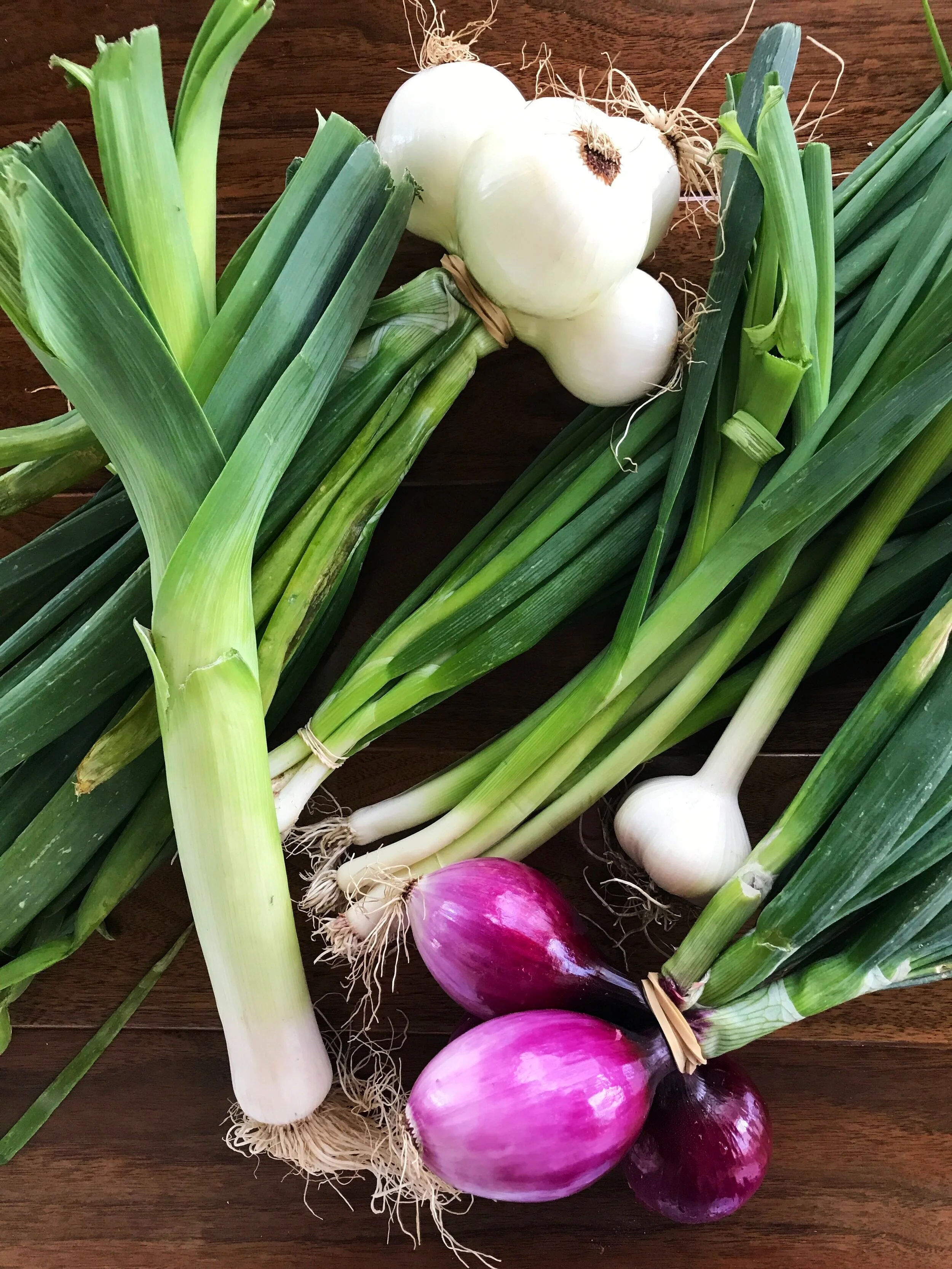Simple Leek and Chicken Soup