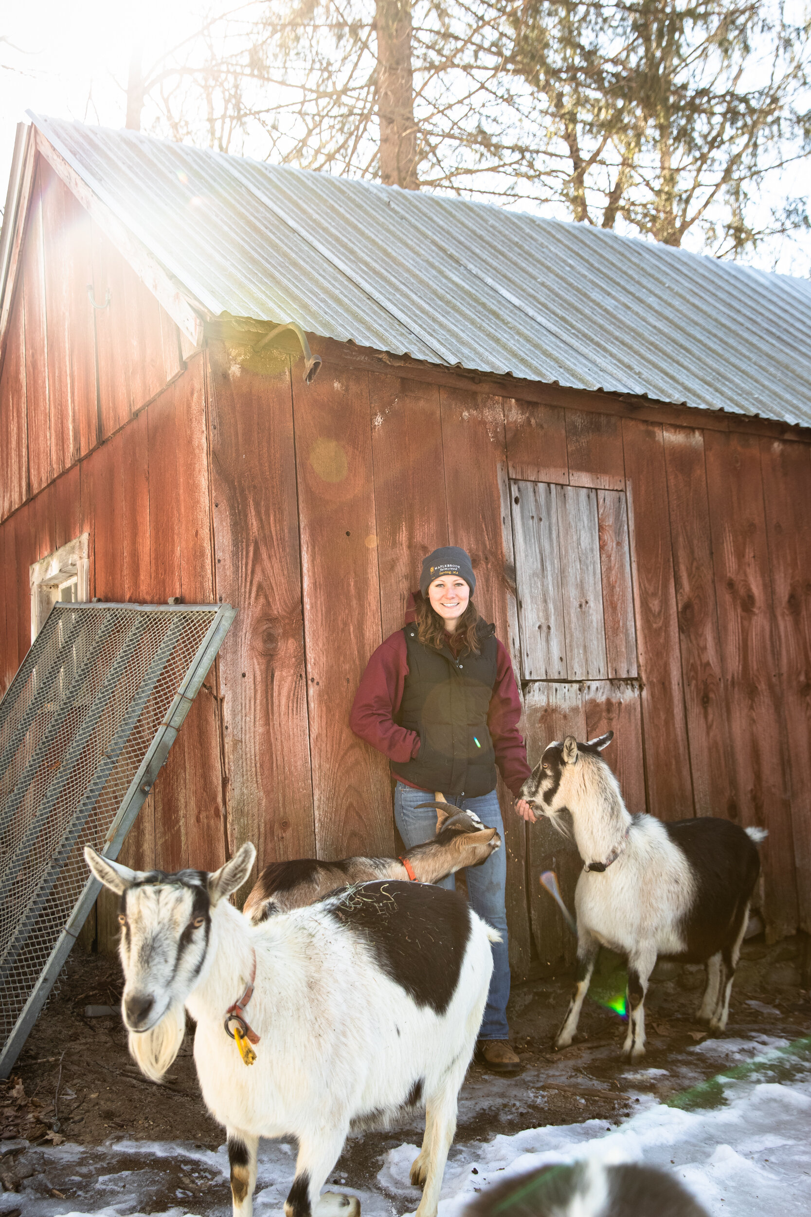 A Walk With the Kids: Hiking With Goats Has People Flocking to Maplebrook Farmstead