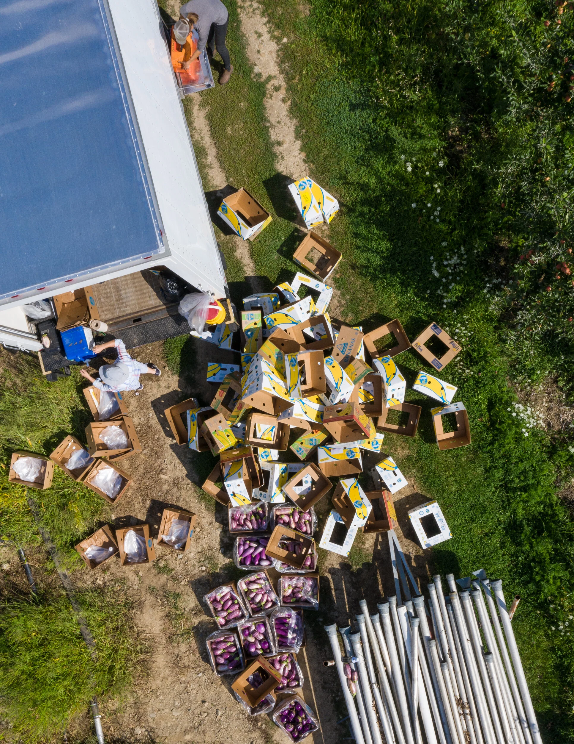 Feeding Massachusetts: Food Rescue