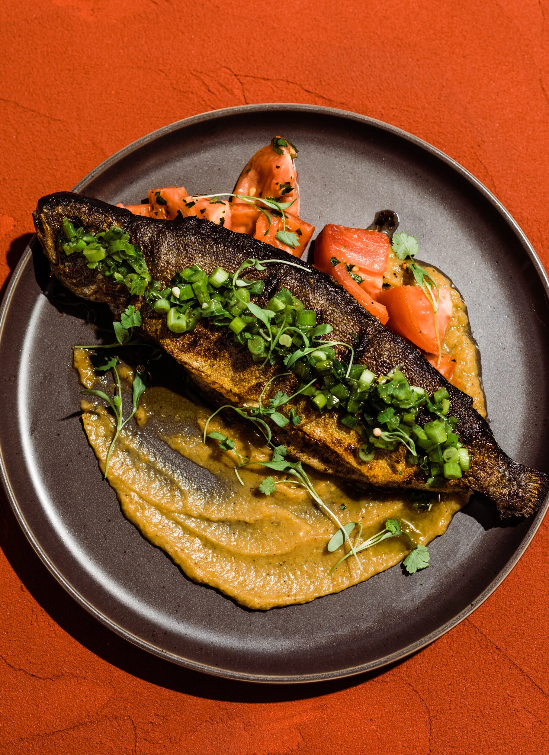 S62-ComfortKitchen-ZaatarTrout-1339_WEB.jpg