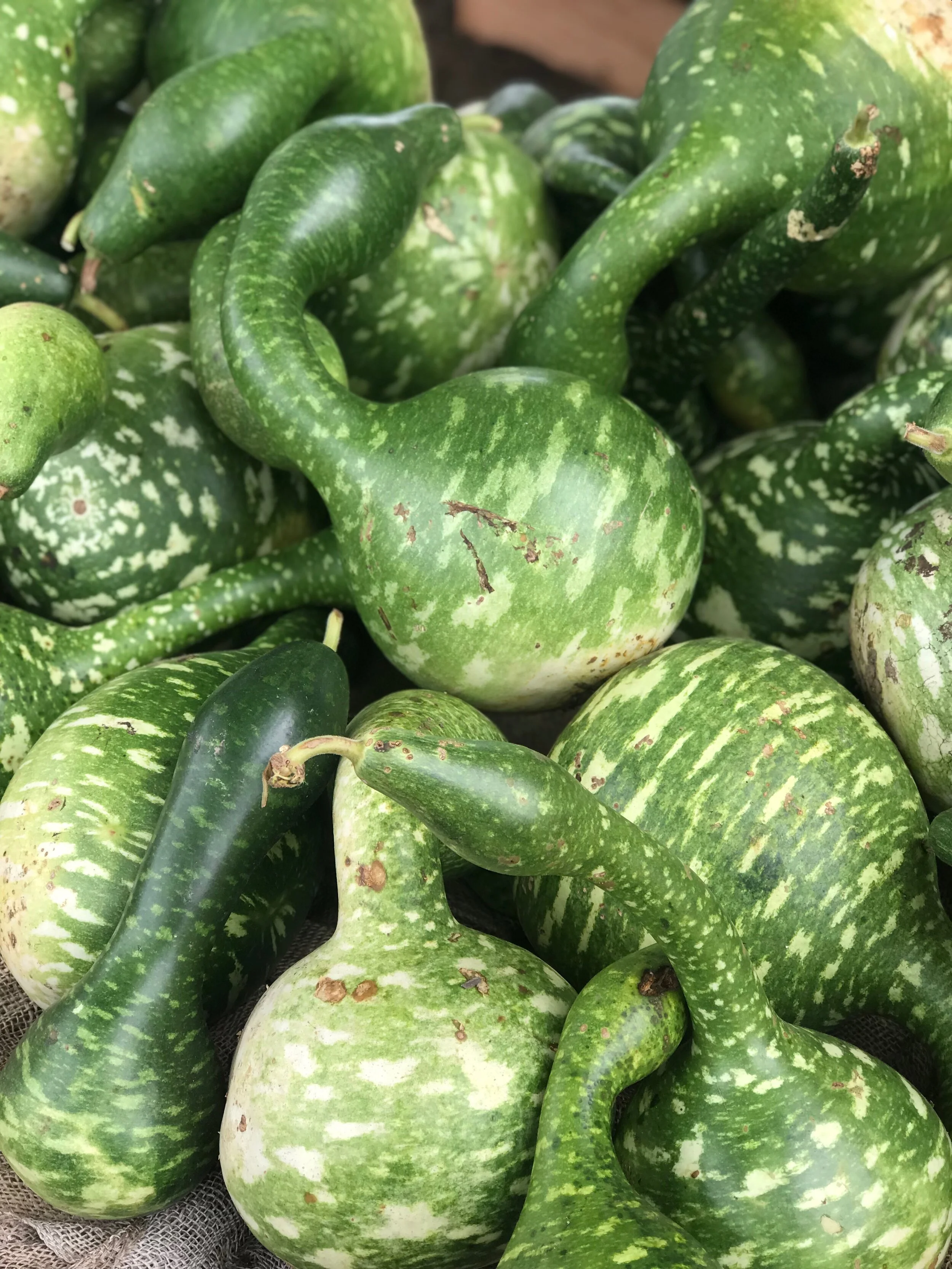 The True Cost of Food: A Case for Supportive Local Food Policy