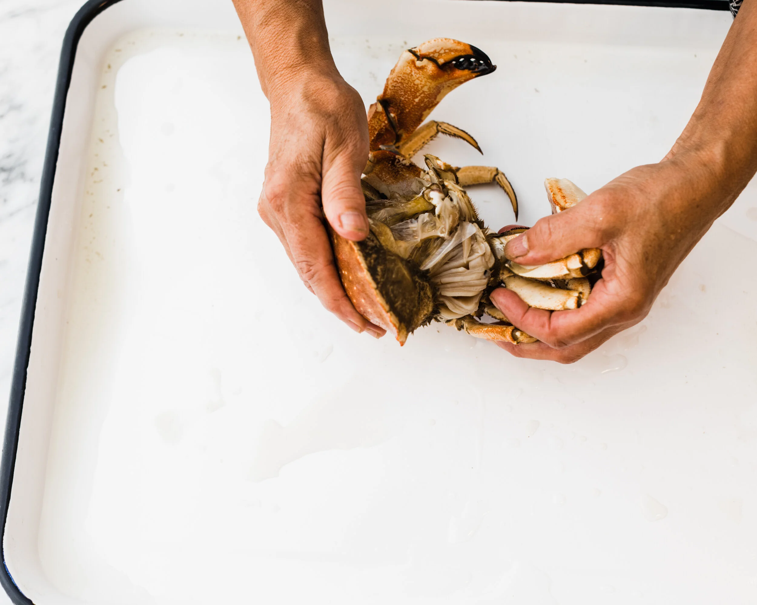 Jonah Crabs with Ginger Butter and ChiliGarlic Vinegar — Edible Boston