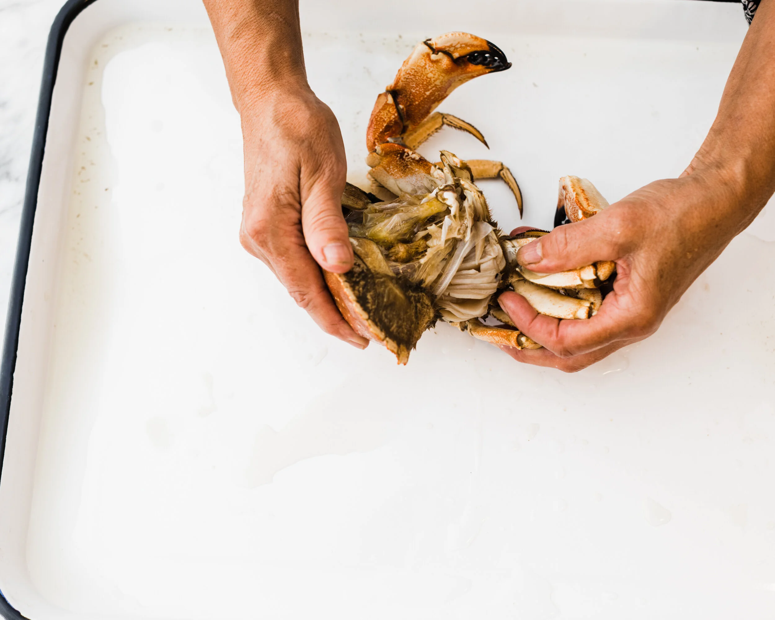 IndianSeafood-Crab-Cleaning-9690_WEB.jpg