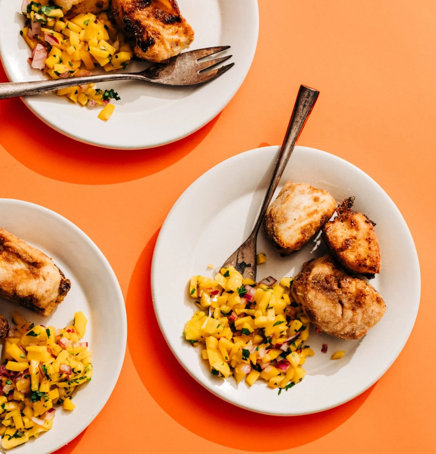 A Coastal Indian Feast in New England