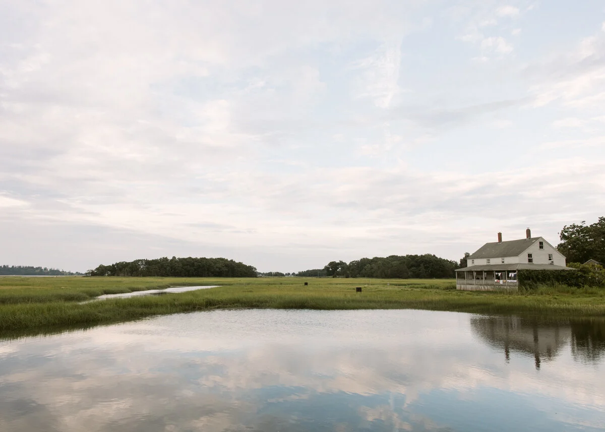 View out back, J.T. Farnham's, Essex