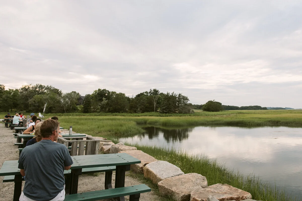 Lunch on the marsh, Essex