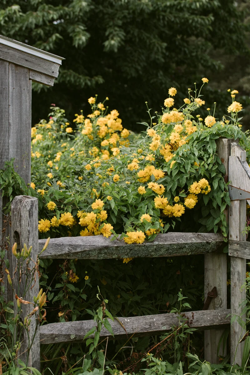 A sunny greeting, Russell Orchards