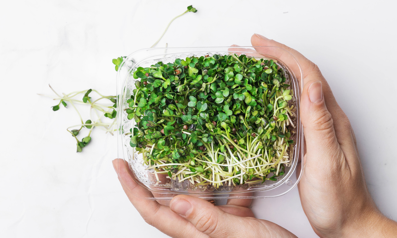 Giant Gorilla Greens