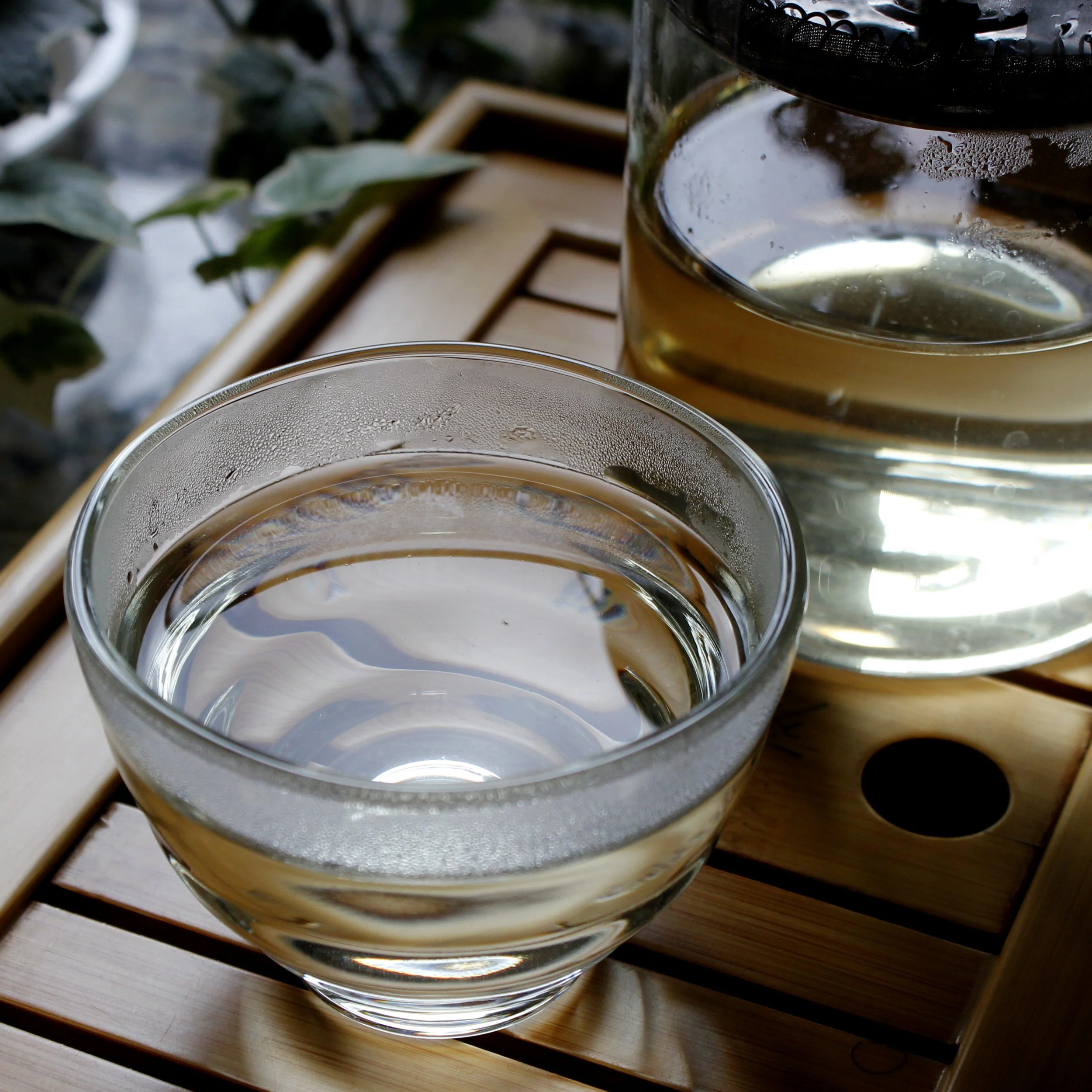 mem-tea-imports-valentines-image4.jpg